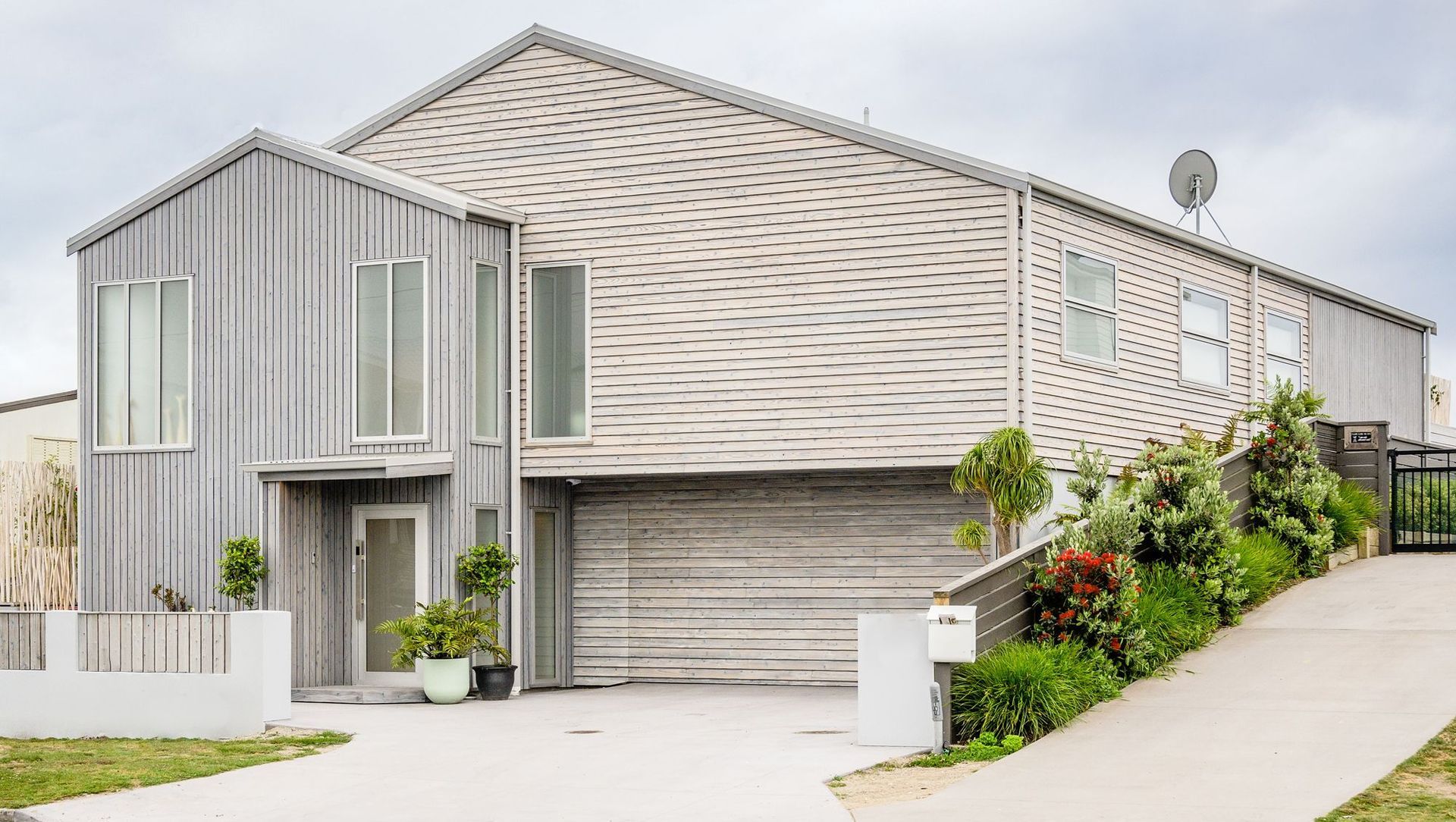 Beach Side Sugi banner