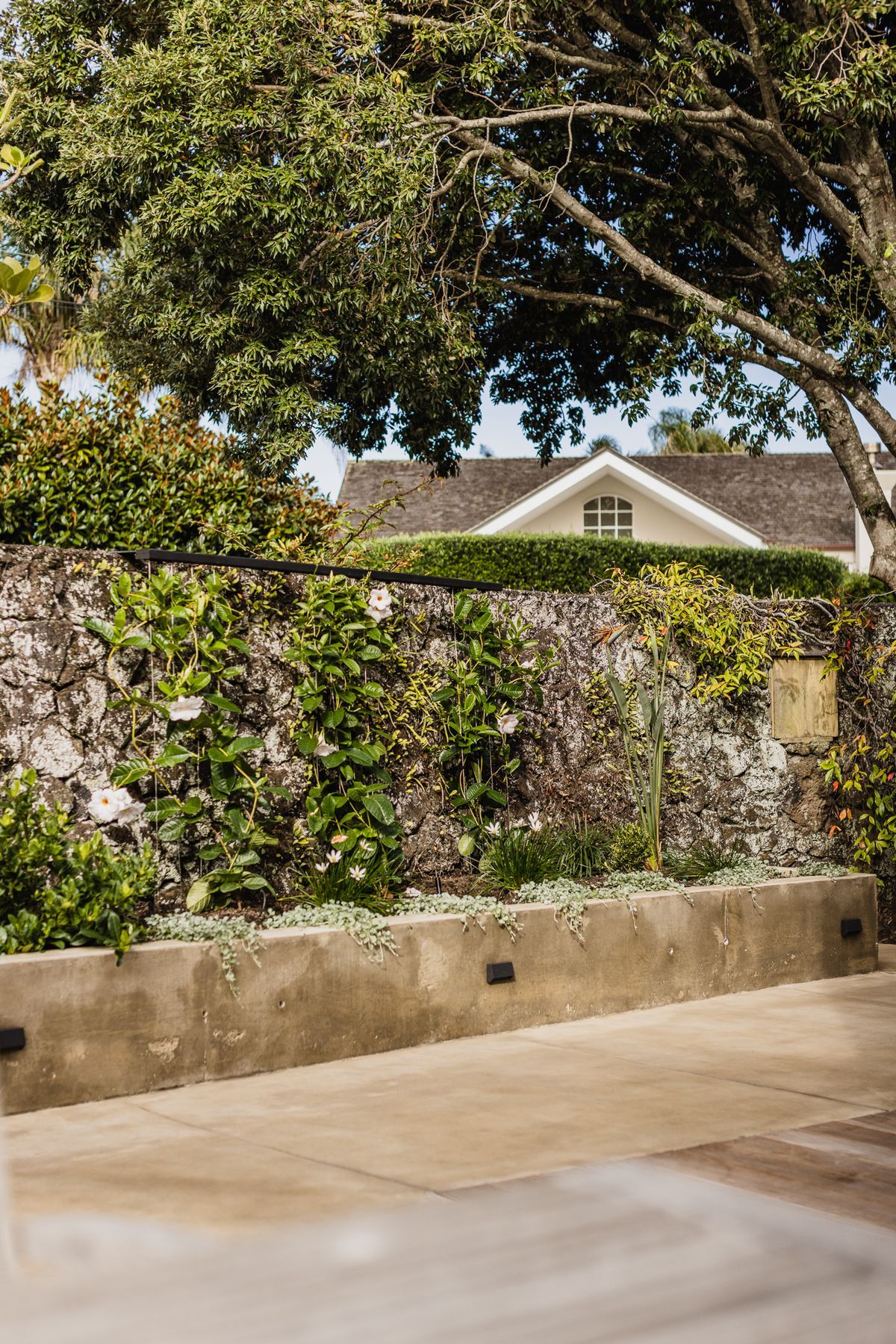 Audrey Exteriors