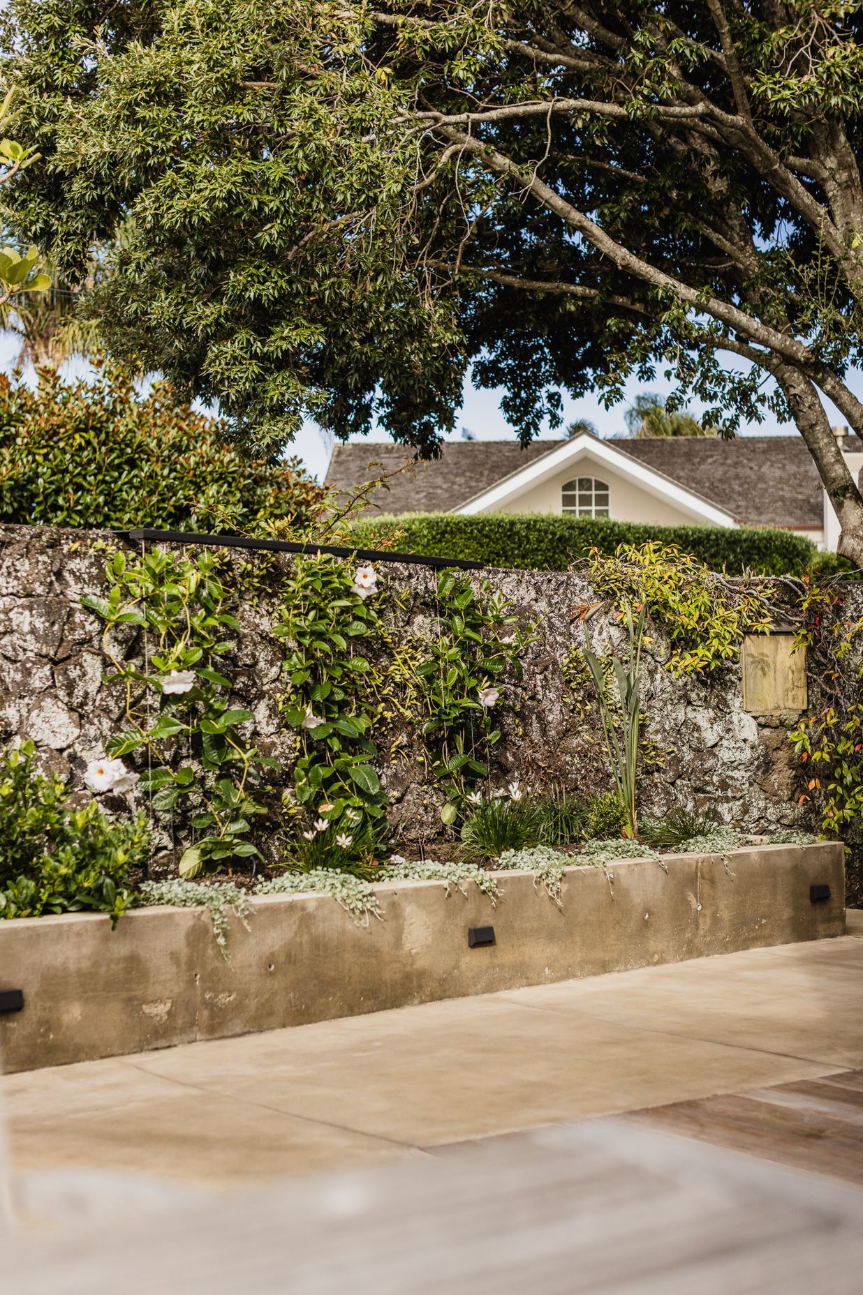 Audrey Exteriors