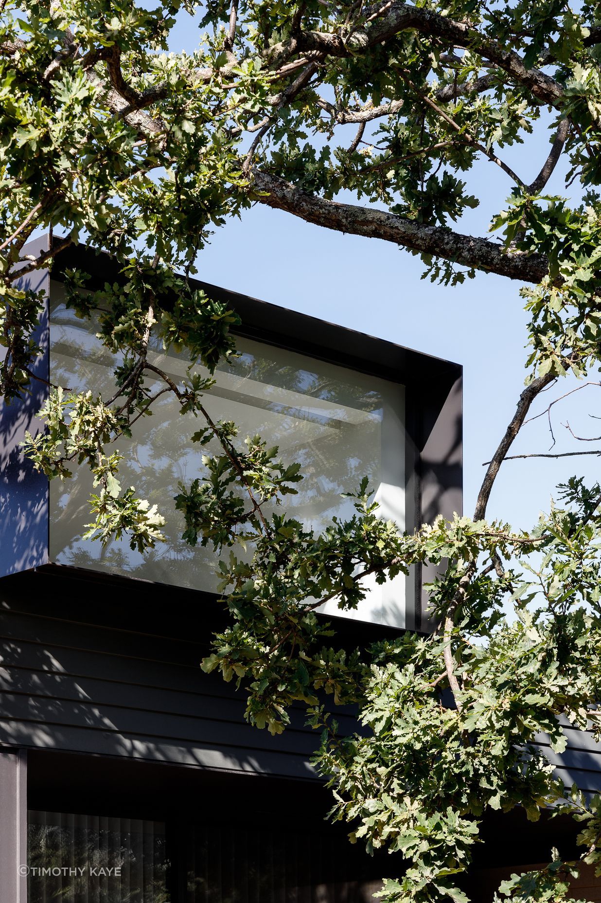 Heron House