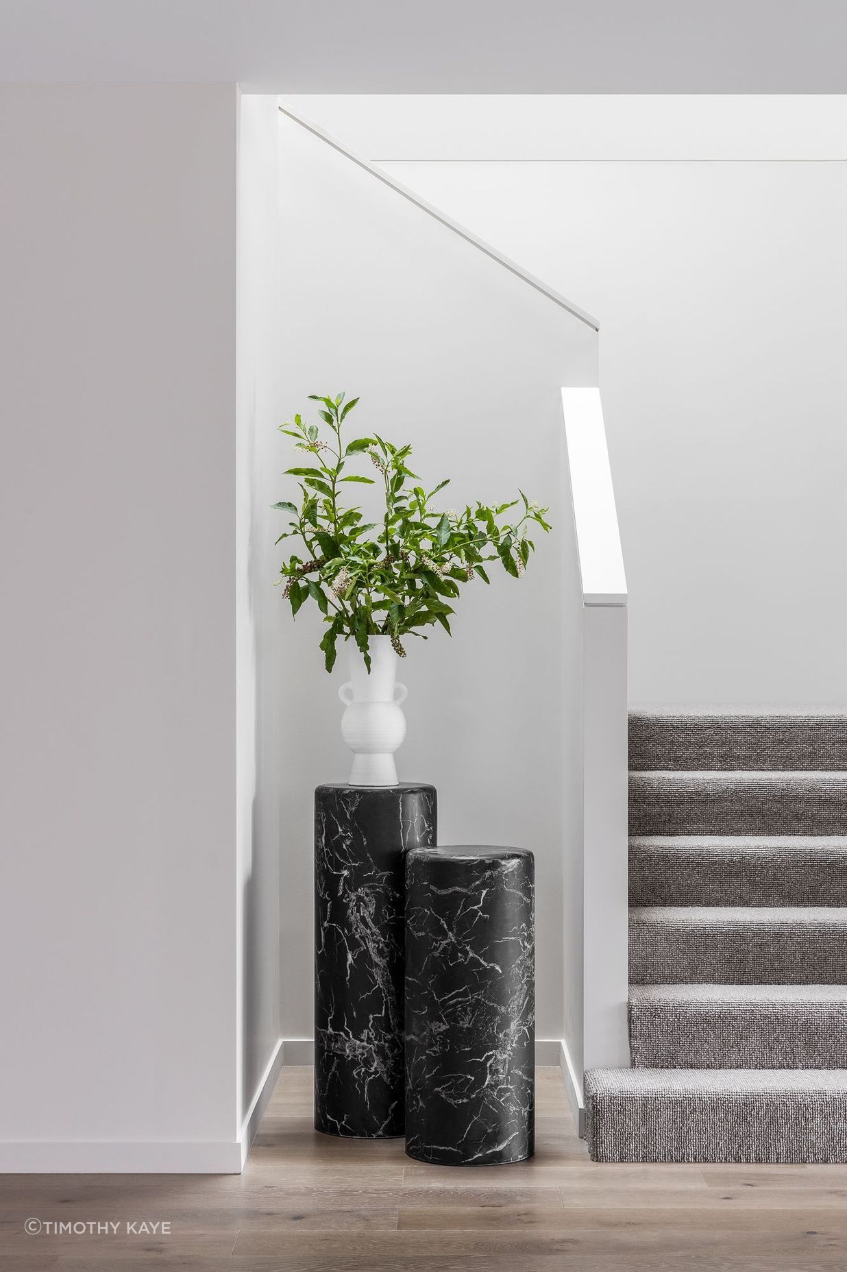 Contemporary Residence - Bentleigh