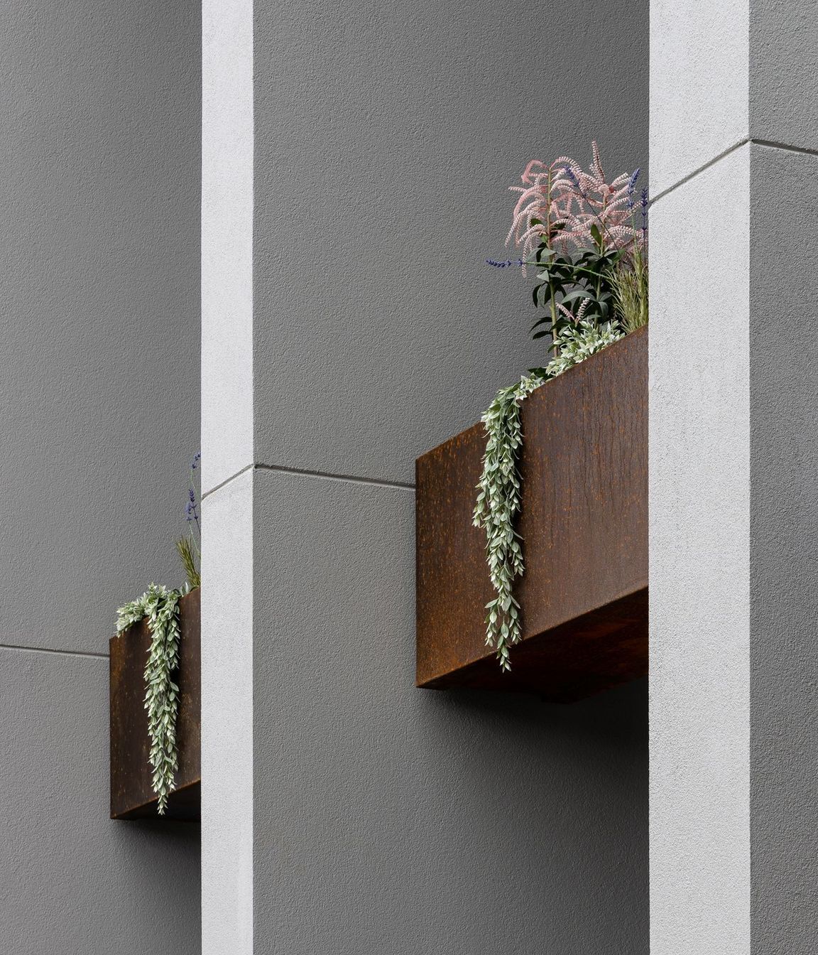 Contemporary Residence - Bentleigh