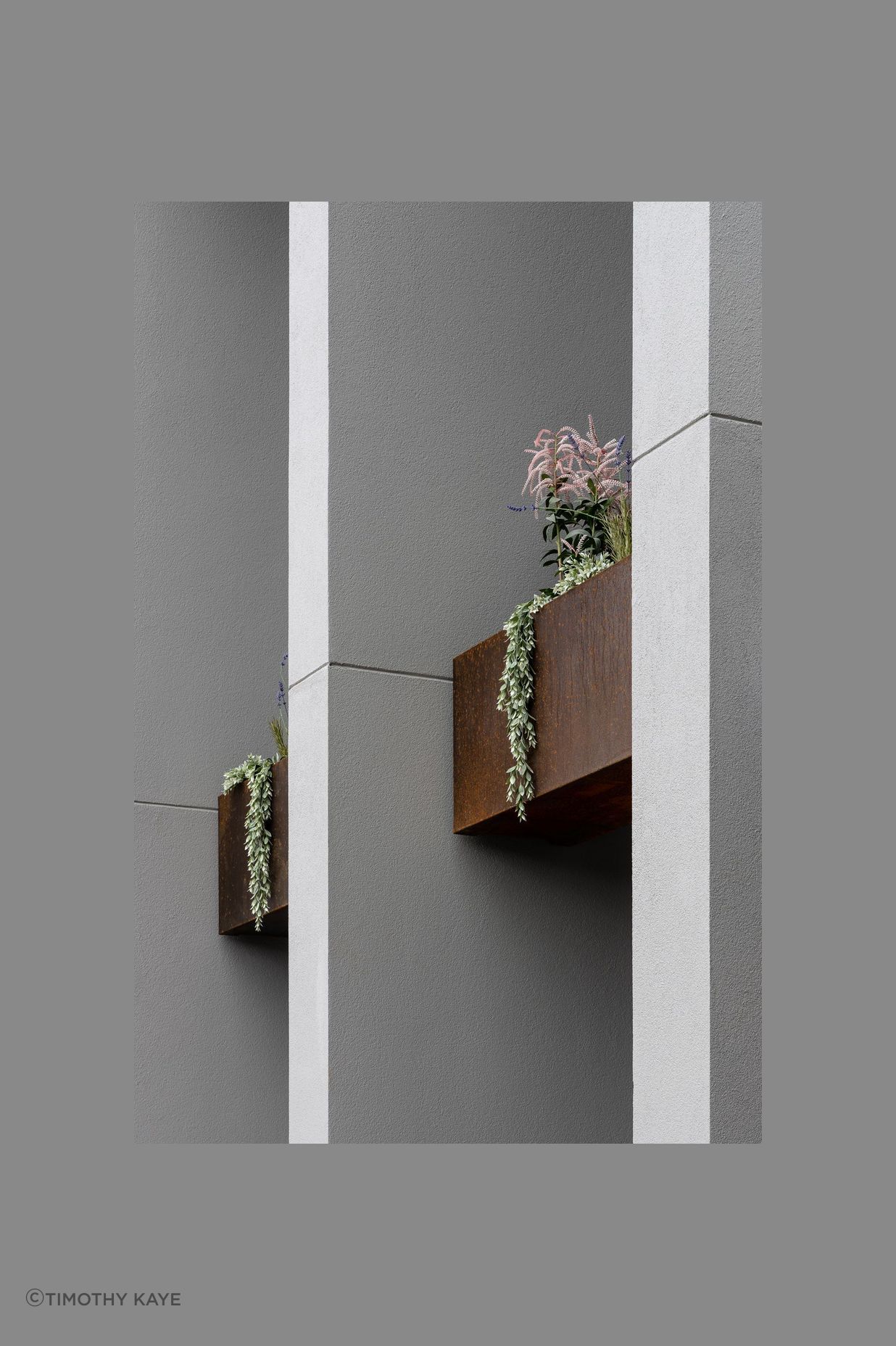 Contemporary Residence - Bentleigh