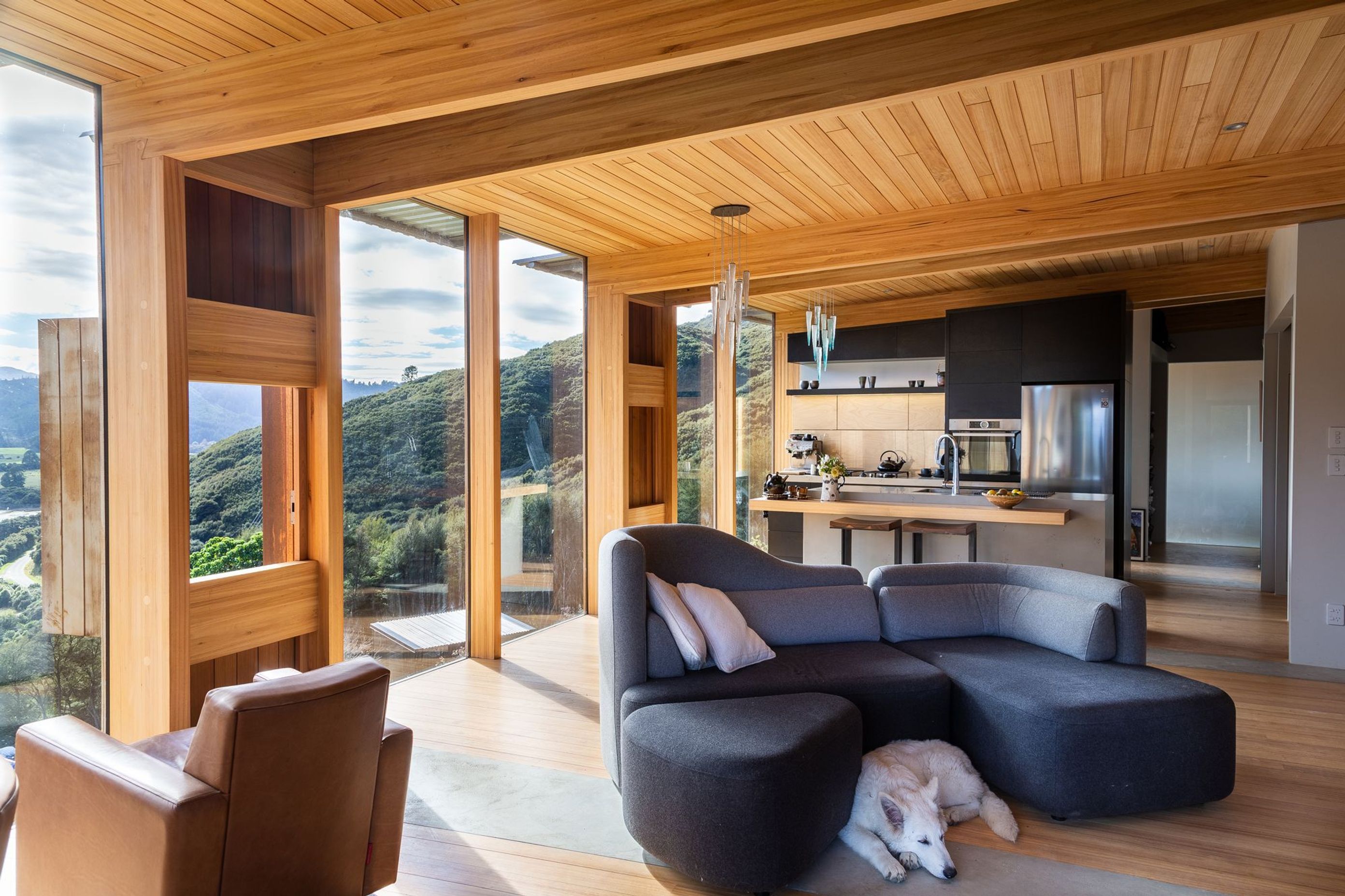 Ngāhere Hou