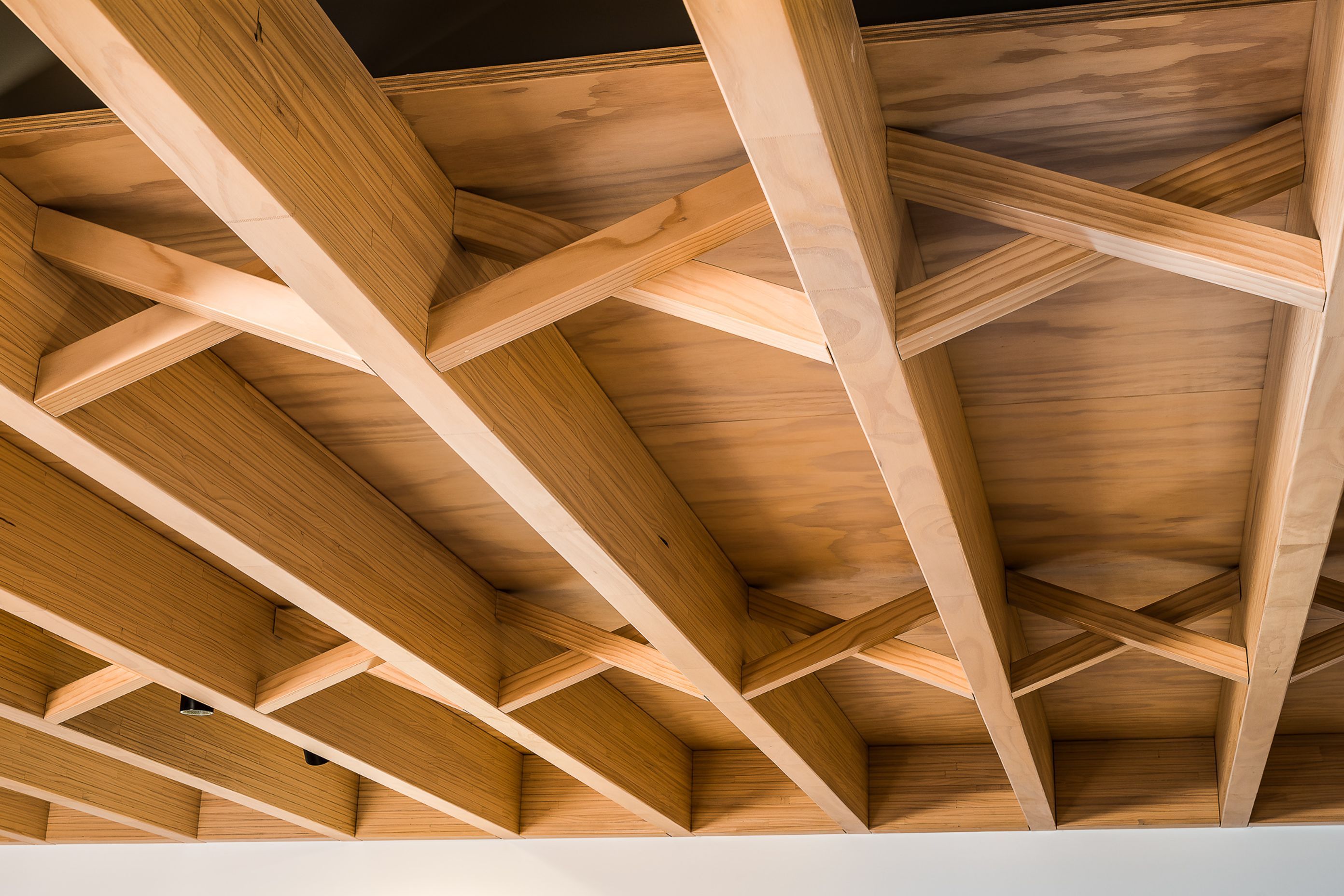 LVL beams have been stripped right back and a cross-brace motif employed to showcase the inherent beauty of the timber.