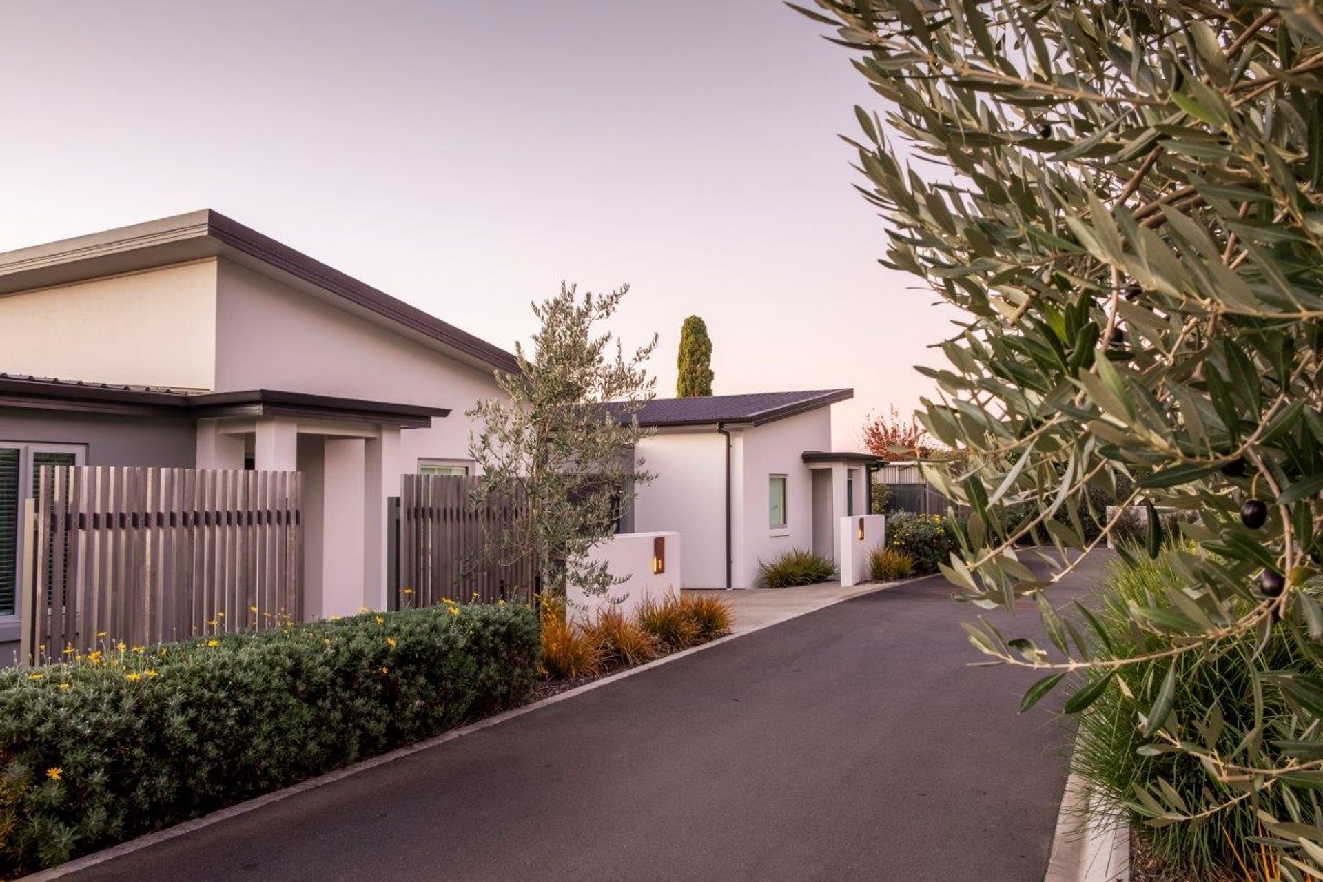 Olive Estate Lifestyle Village