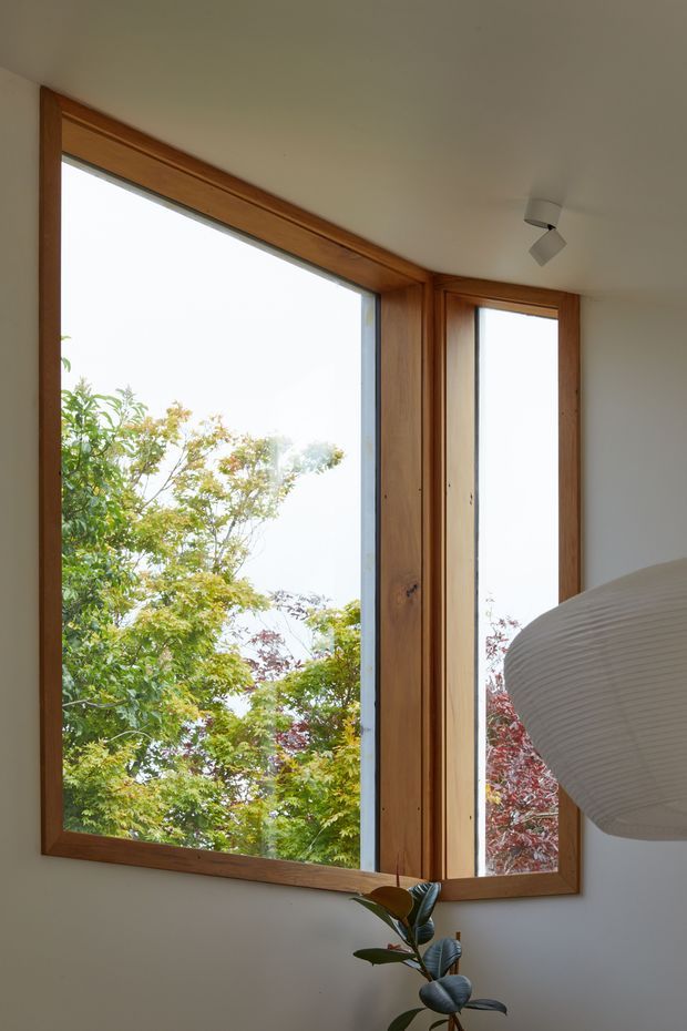 A bright interior corner featuring large floor-to-ceiling timber-framed corner windows overlooking leafy trees. The walls and ceiling are painted a soft off-white, with a minimalist white ceiling spotlight and part of a sculptural pendant light visible. A small indoor plant sits near the window, creating a calm connection to the surrounding greenery.