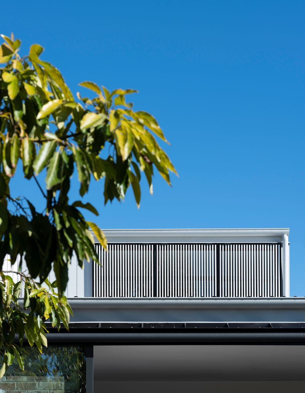 Cammeray House