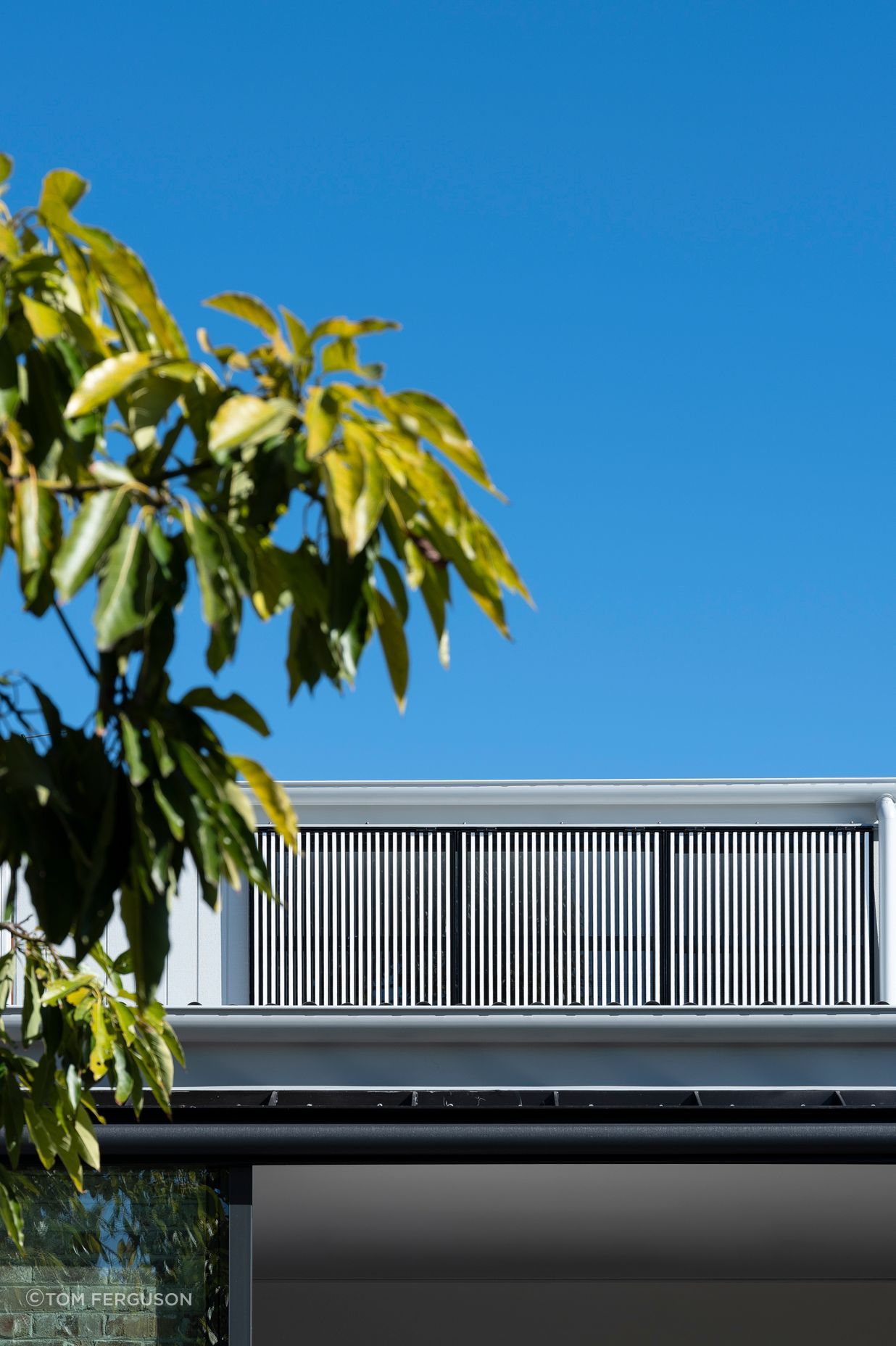 Cammeray House