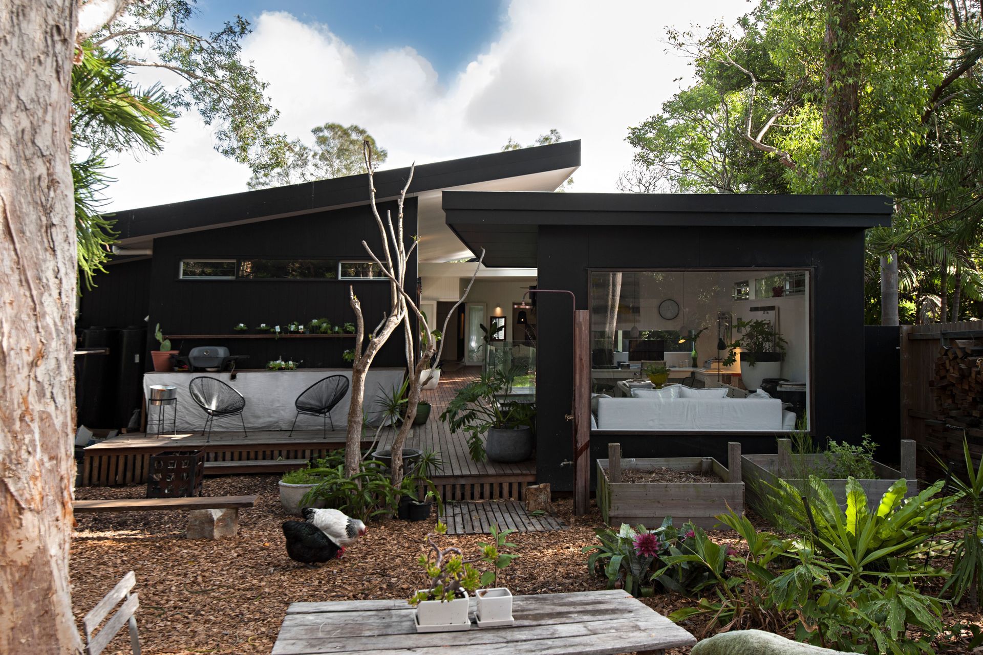 Bimbimi - House Of Birds