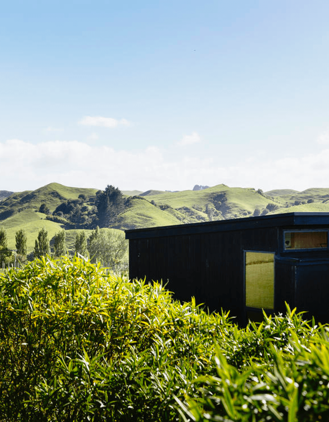 Totara Hill, Taranaki
