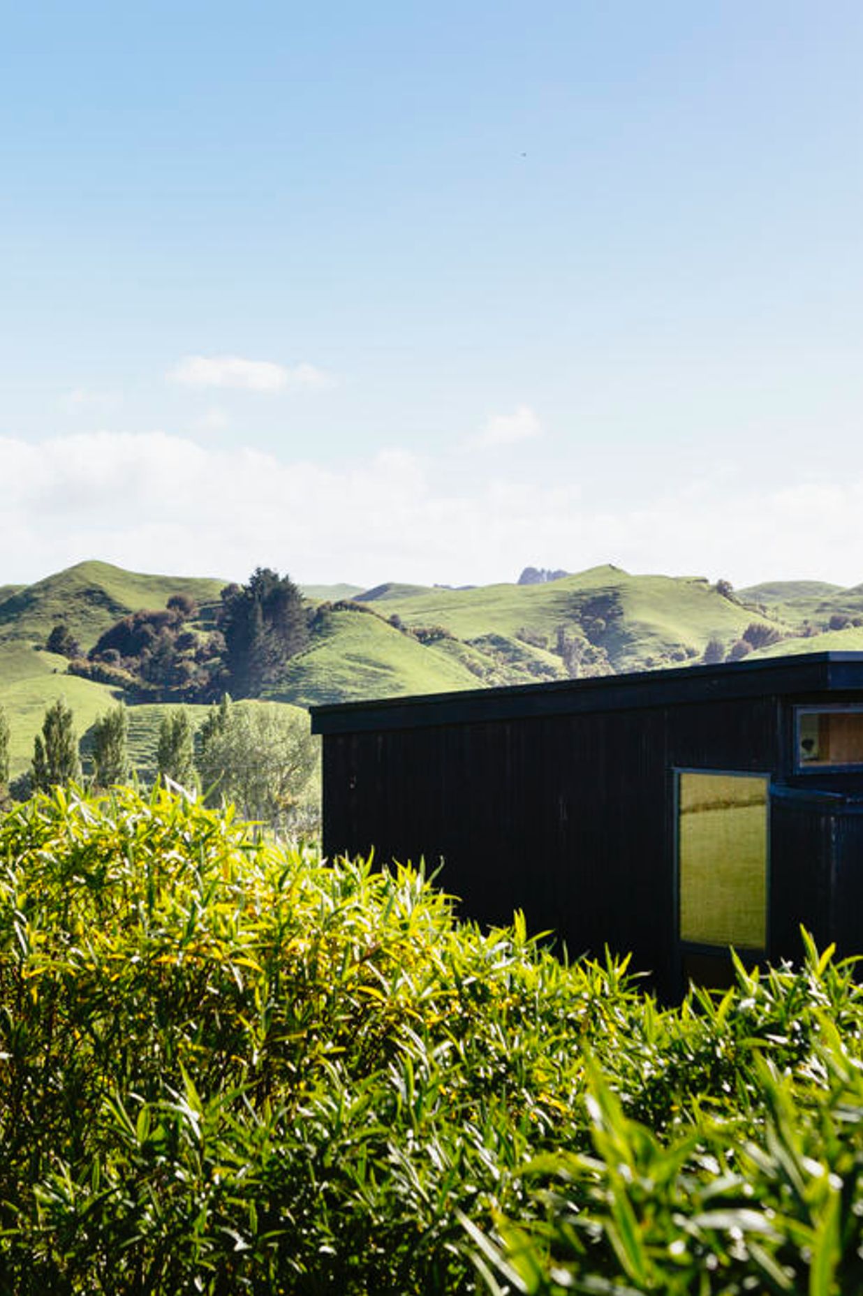 Totara Hill, Taranaki