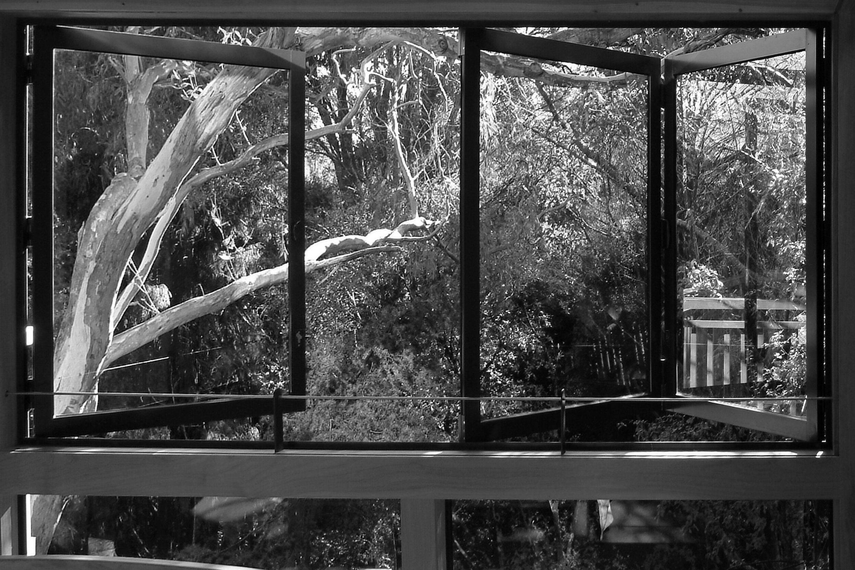 Two Mile Bay House