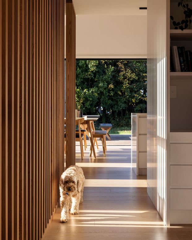 A warmly lit interior hallway framed by a full-height vertical timber slat screen on the left and white built-in cabinetry with open shelving on the right. The hallway opens directly into a dining area and sunlit outdoor terrace or garden beyond, with timber flooring continuing through the spaces. A small dog is walking in the foreground. The design is clean and contemporary, with strong linear detailing, natural timber, and generous indoor-outdoor connection.