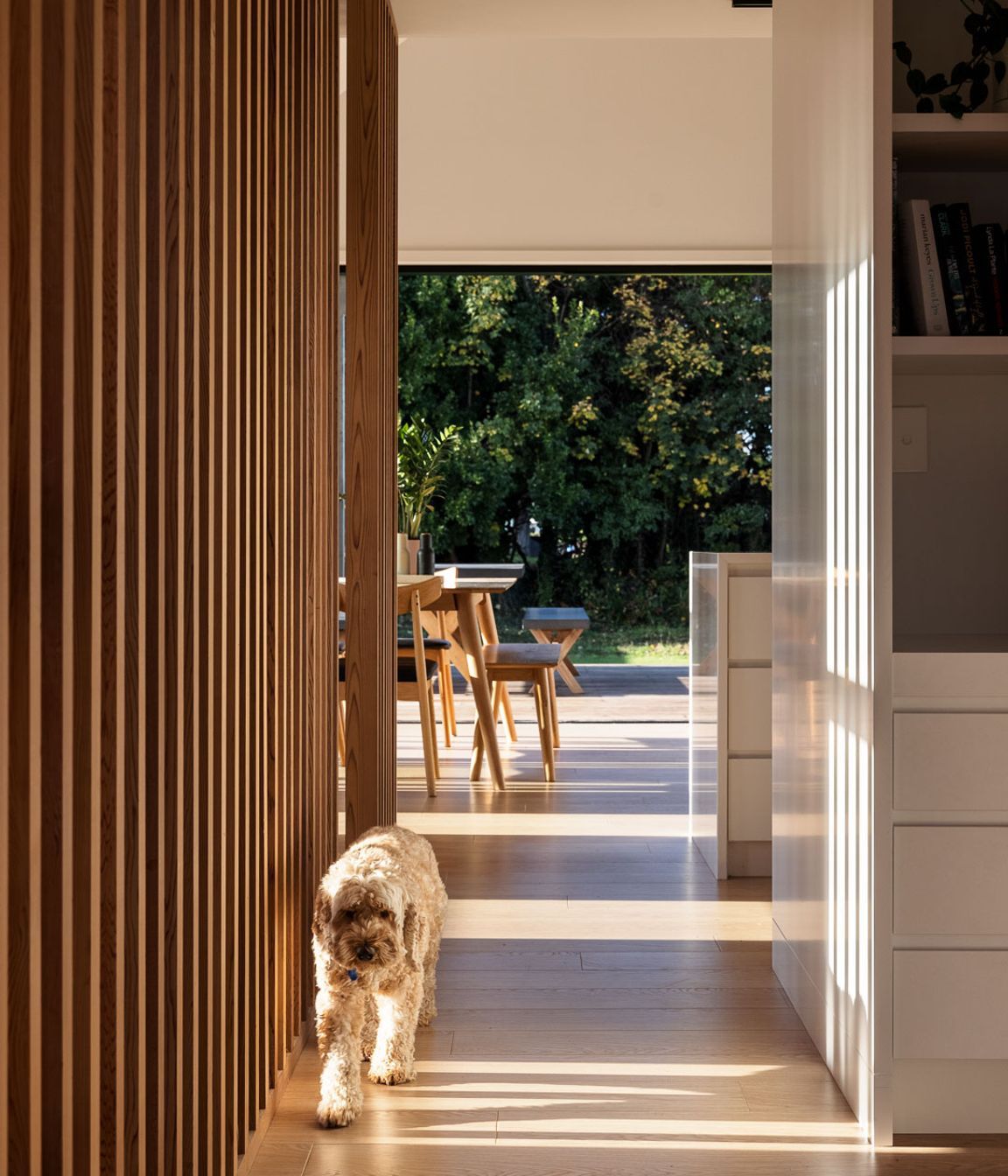 Open sight lines create a sense of seamlessness between the internal and external spaces.