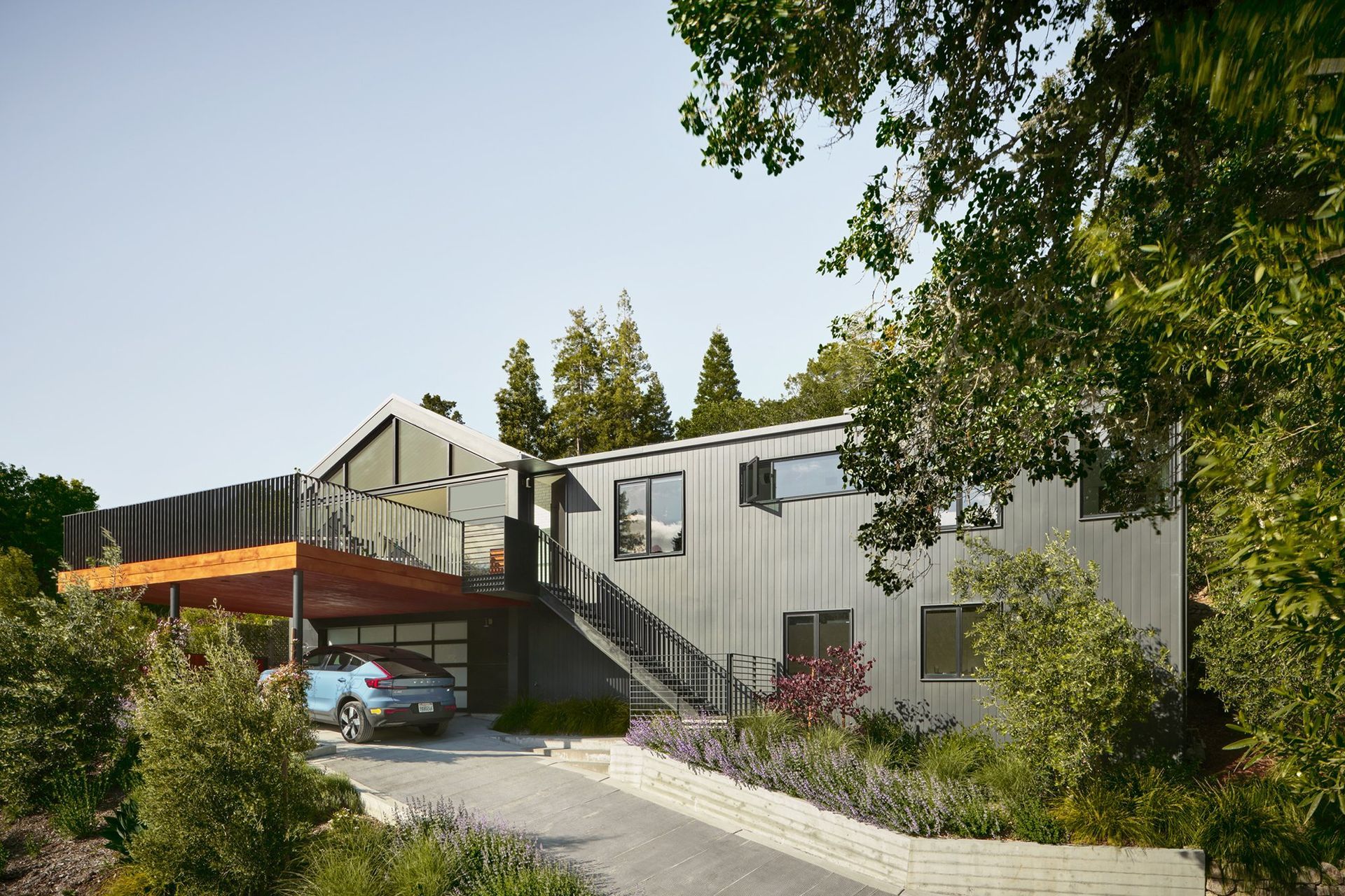 MillValley-06.jpg