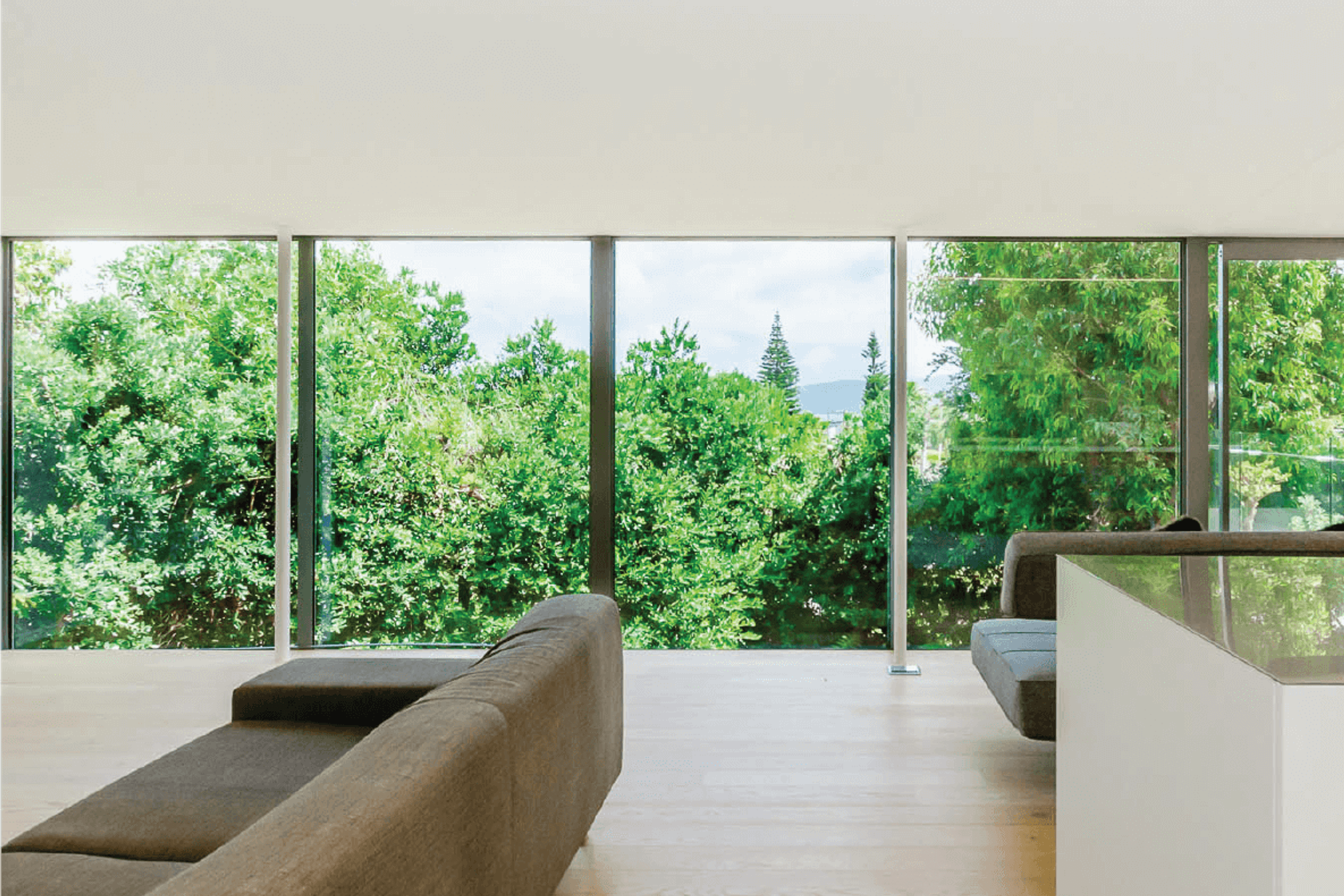 Paraparaumu Tree House