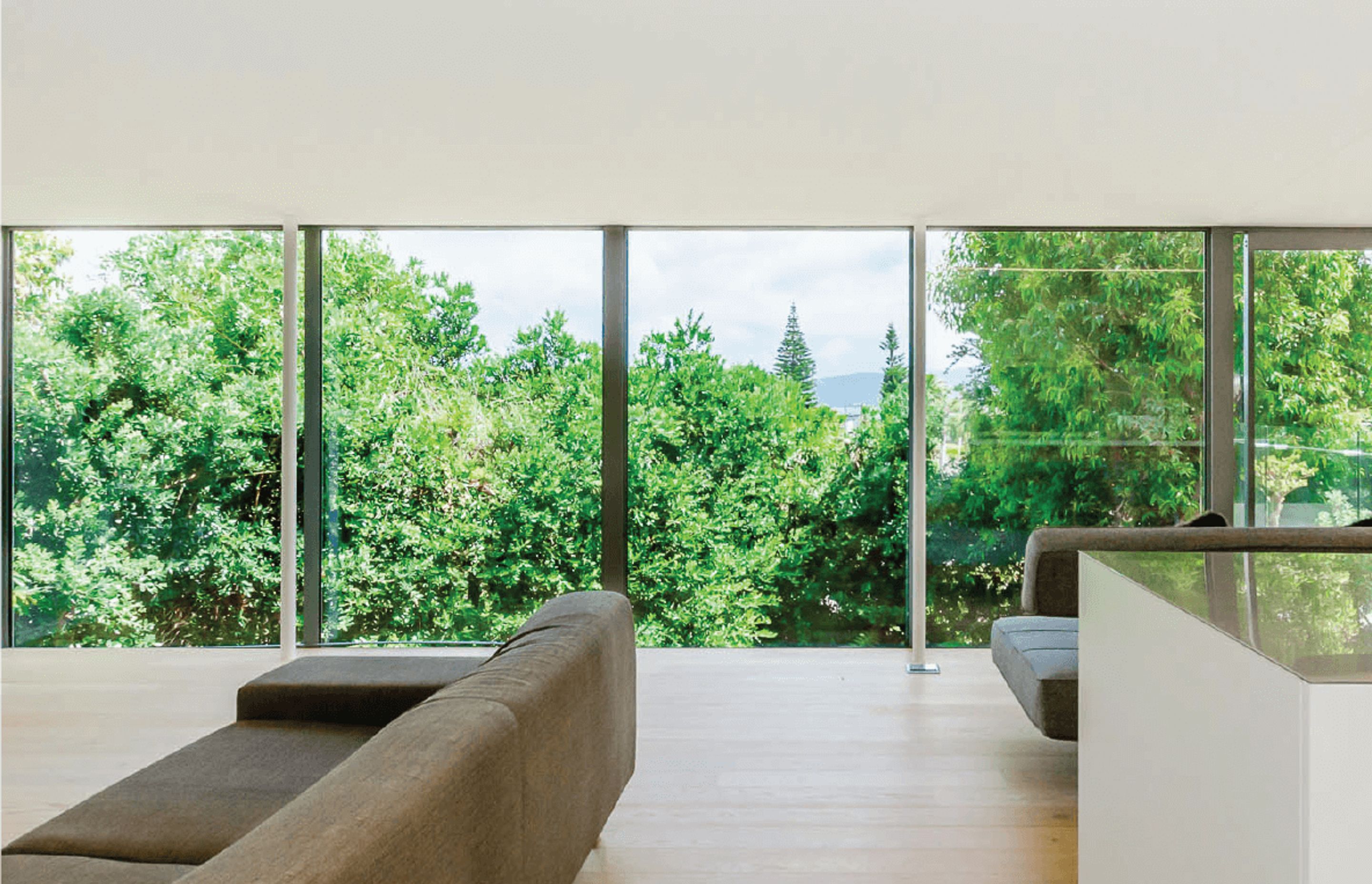 Paraparaumu Tree House
