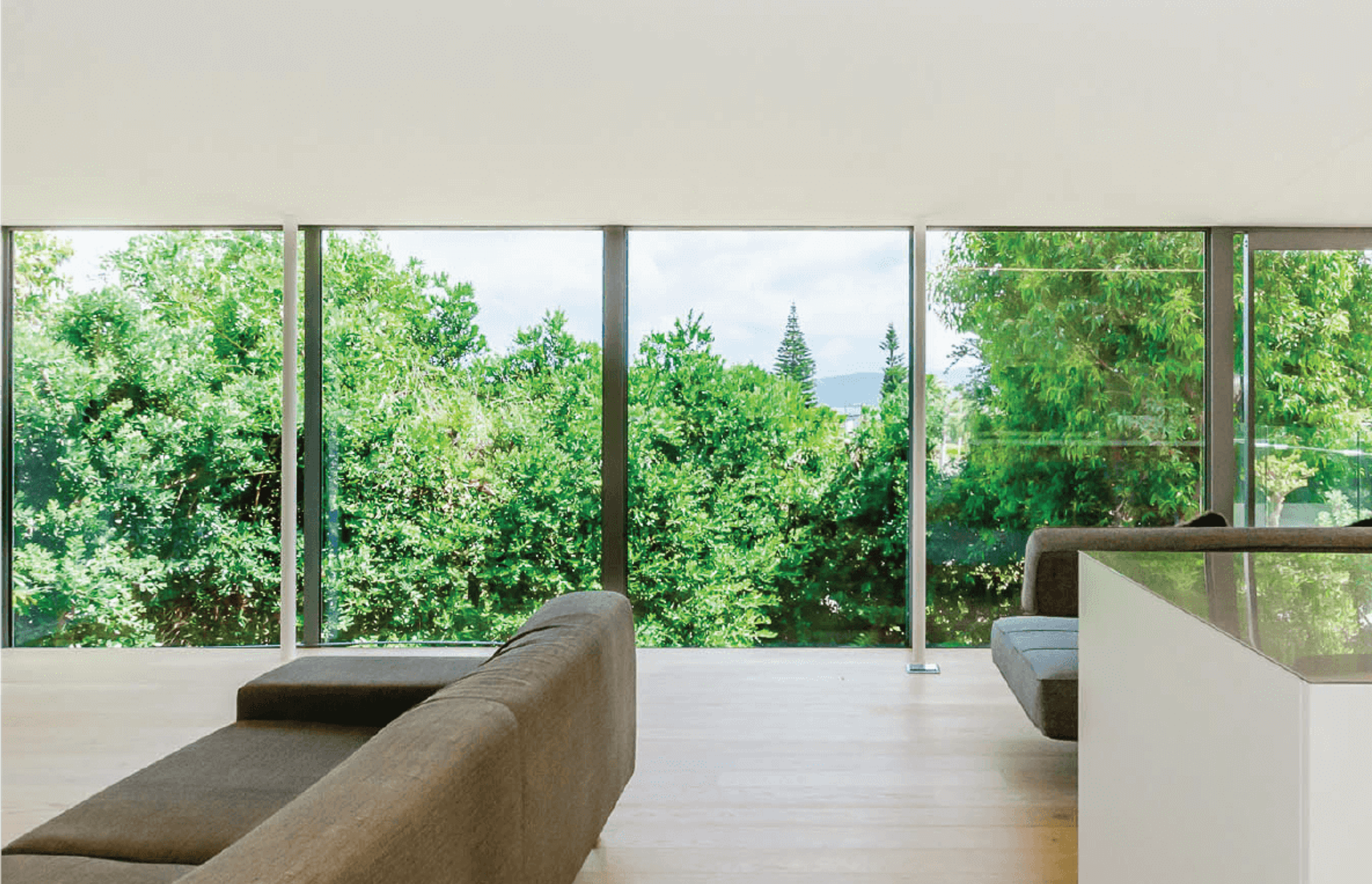 Paraparaumu Tree House