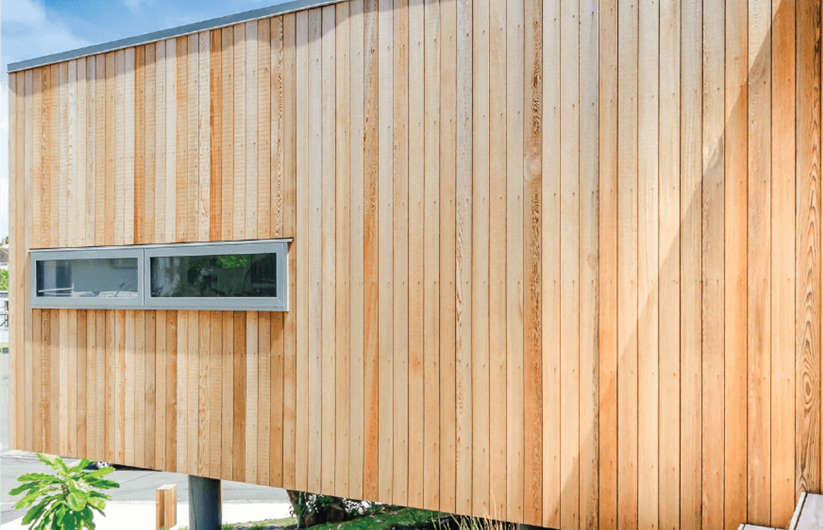 Paraparaumu Tree House