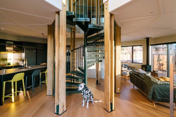 Open-plan residential interior showing a kitchen on the left, a living room on the right, and a central sculptural spiral staircase enclosed by exposed timber posts and glazed partitions. The space has warm timber flooring and joinery, dark kitchen cabinetry, large windows, and a double-height stair void. A dog is present in the foreground.