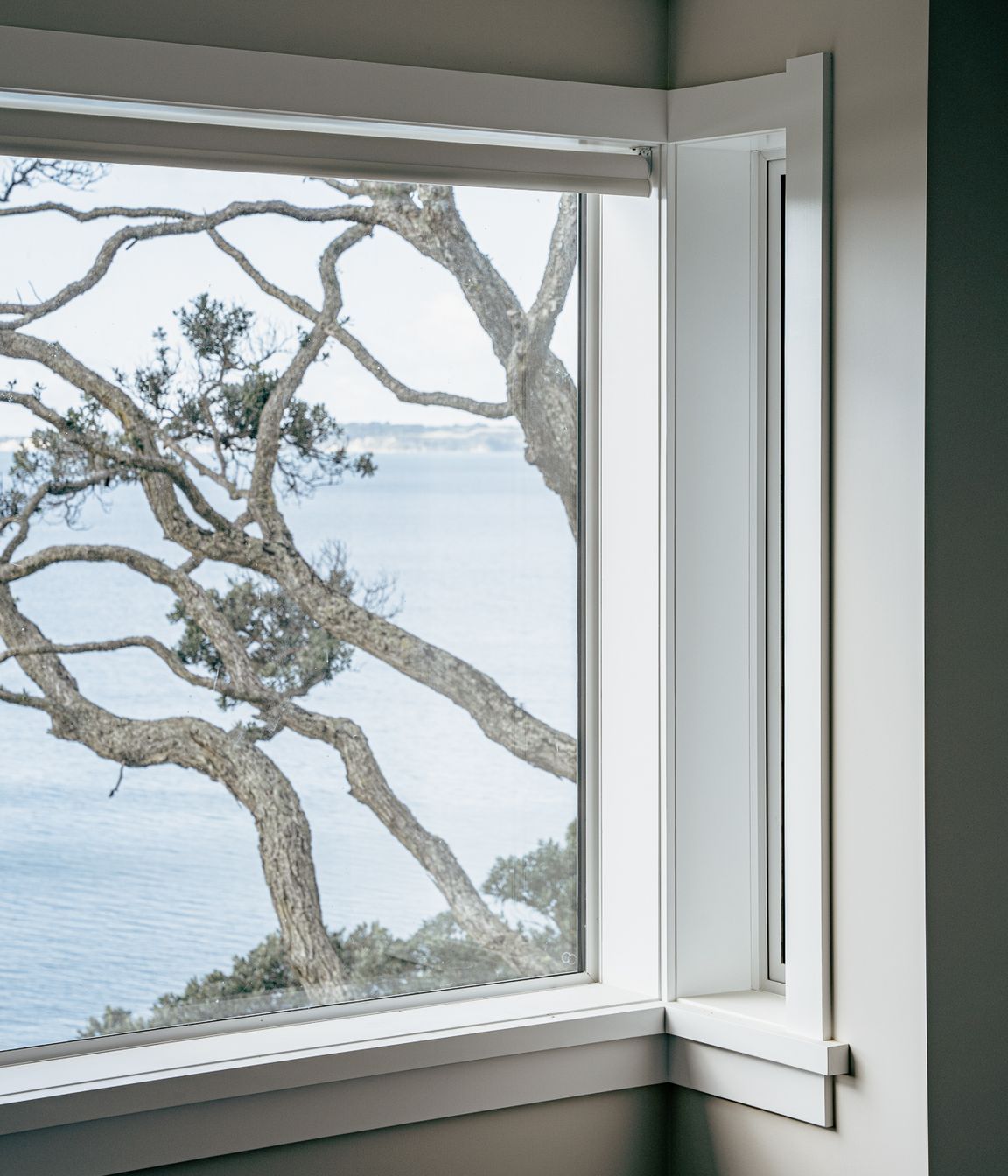 Ocean-View-11.jpg