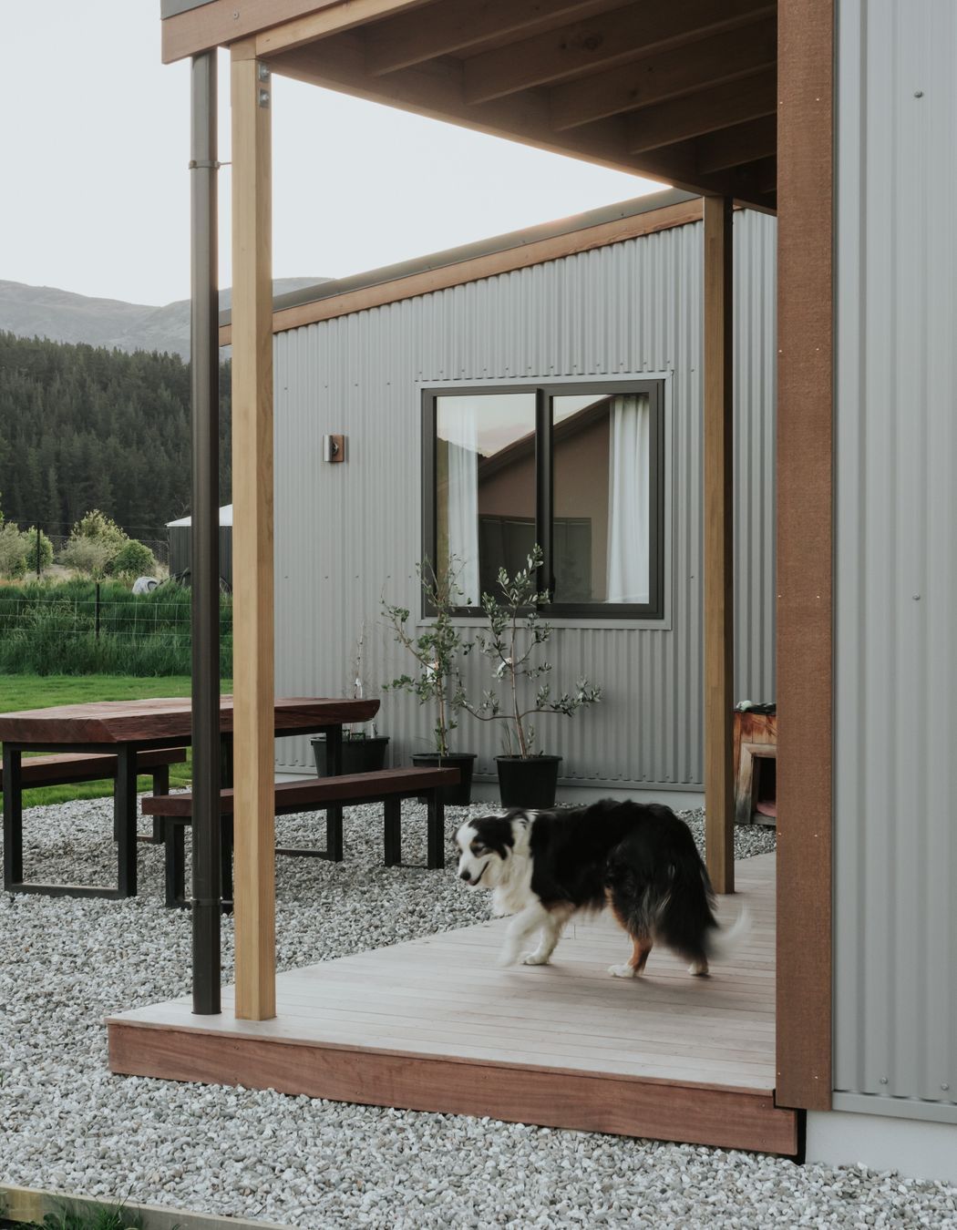 Luggate Creek House