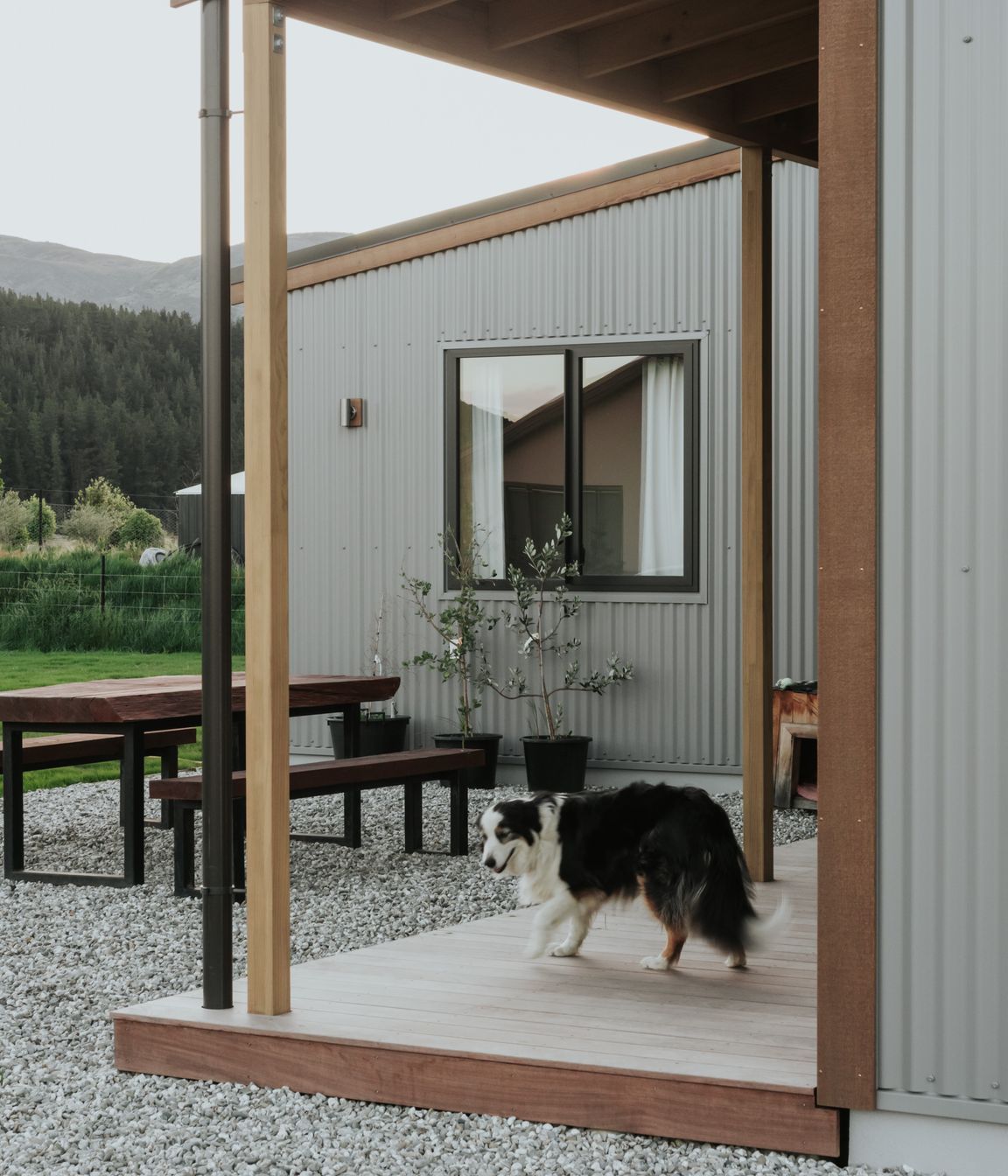 Luggate Creek House