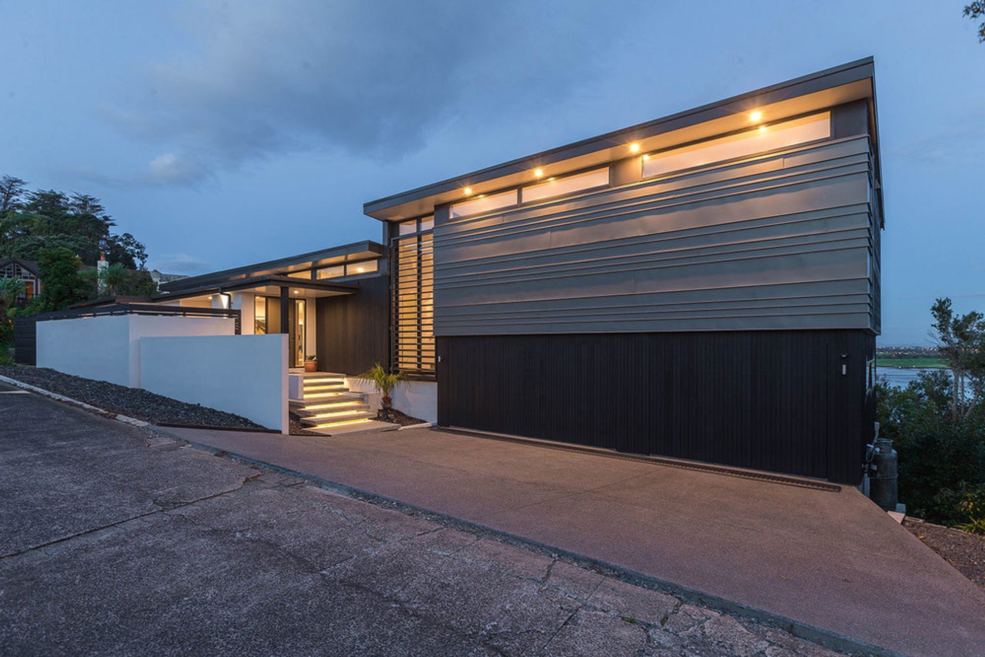 Modern Cedar Home