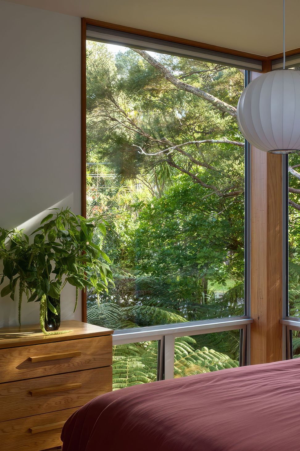 PWTitirangi366-gigapixel-standard-v2-3x.jpeg