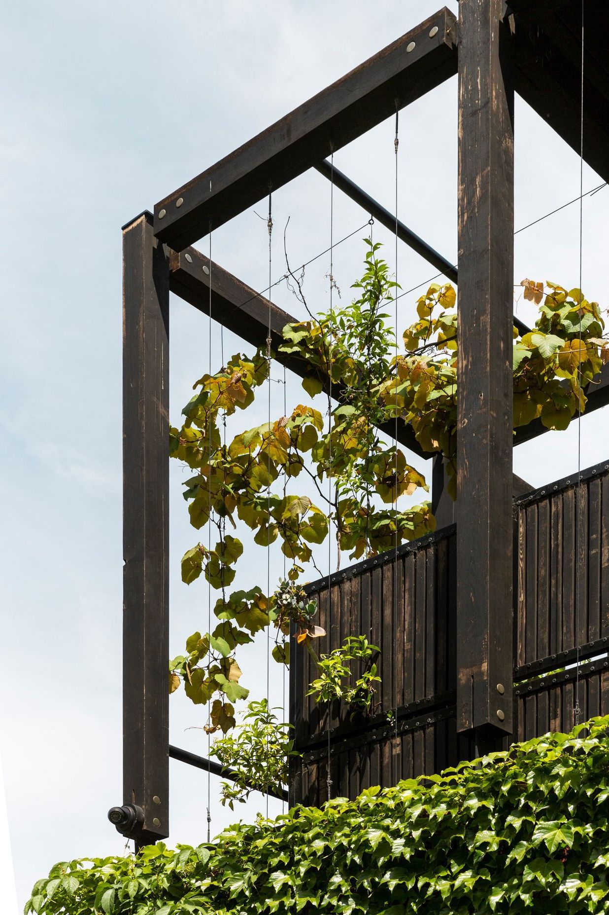 42 Albert Street, East Melbourne