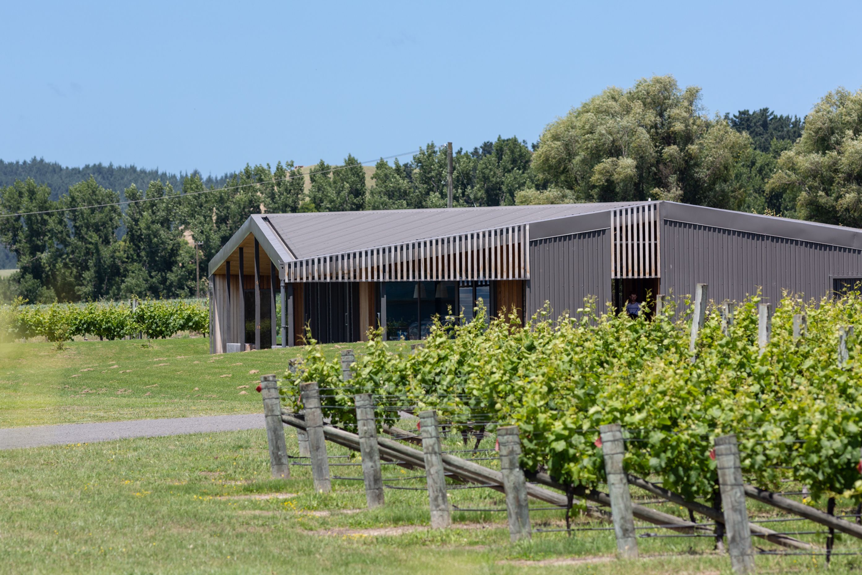 Folded Form: Robertson House
