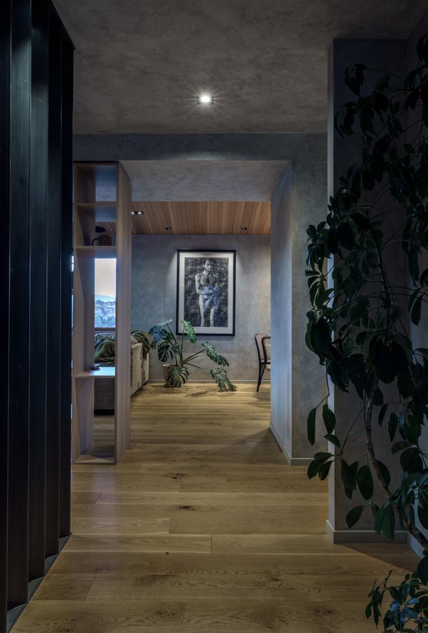 A moody interior view looking through a narrow circulation space toward a furnished living area. The space features wide-plank timber flooring, dark painted or timber joinery at the left, textured grey plaster walls and ceiling, a timber-lined ceiling section, recessed downlights, indoor plants, and a framed artwork. A large opening at the rear provides a glimpse of the landscape outside.