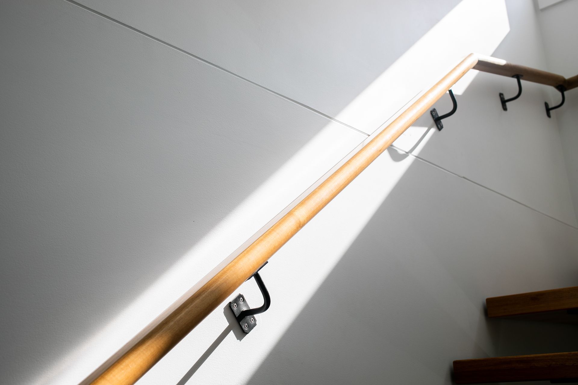 Passiflora- Denham Court House