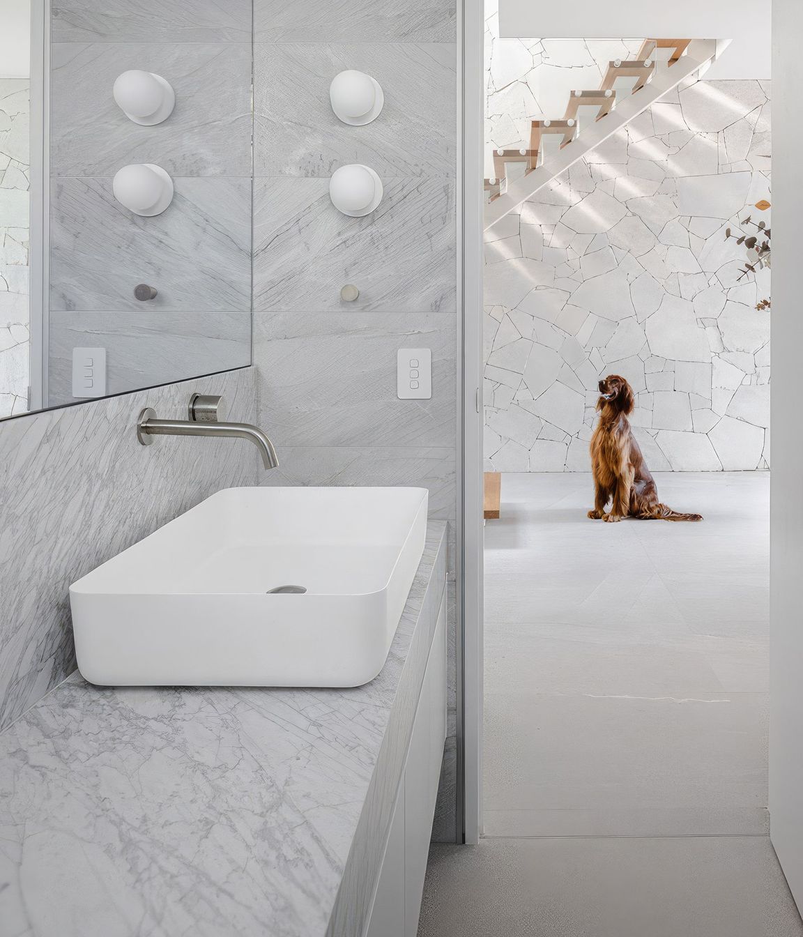 Scaledbuddina-duplex-arlo-41000x-standard-scale-200x.jpg