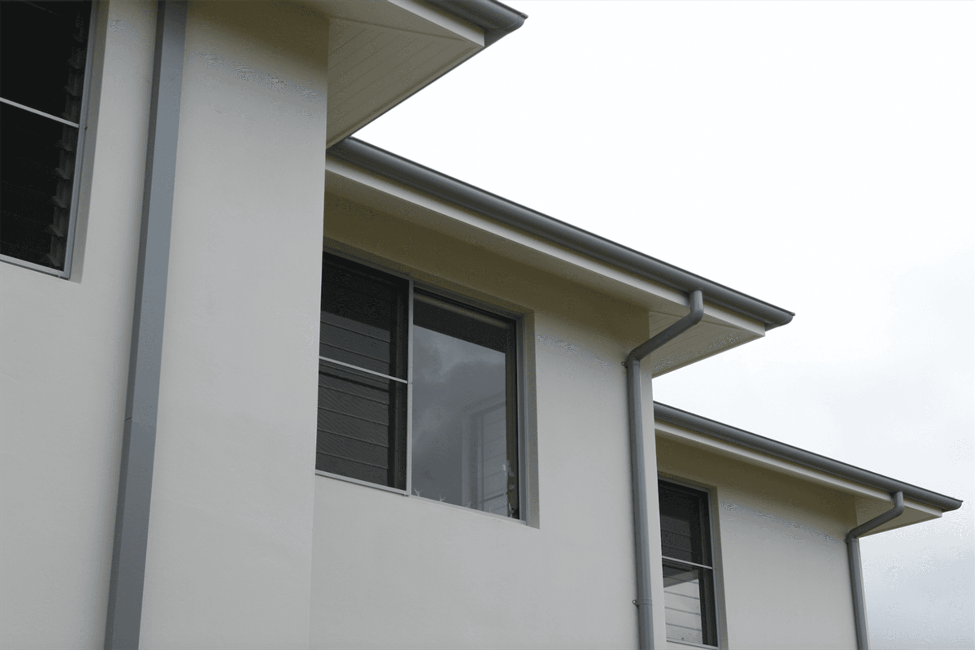 curl curl - new home