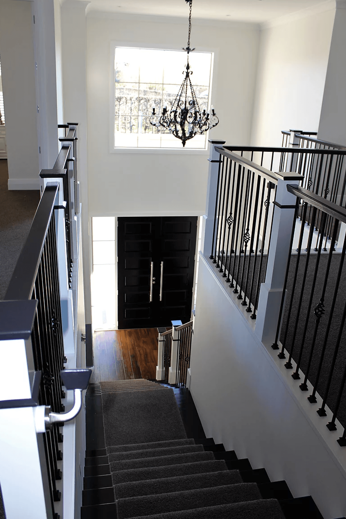 Contemporary Dwelling, Parkvale