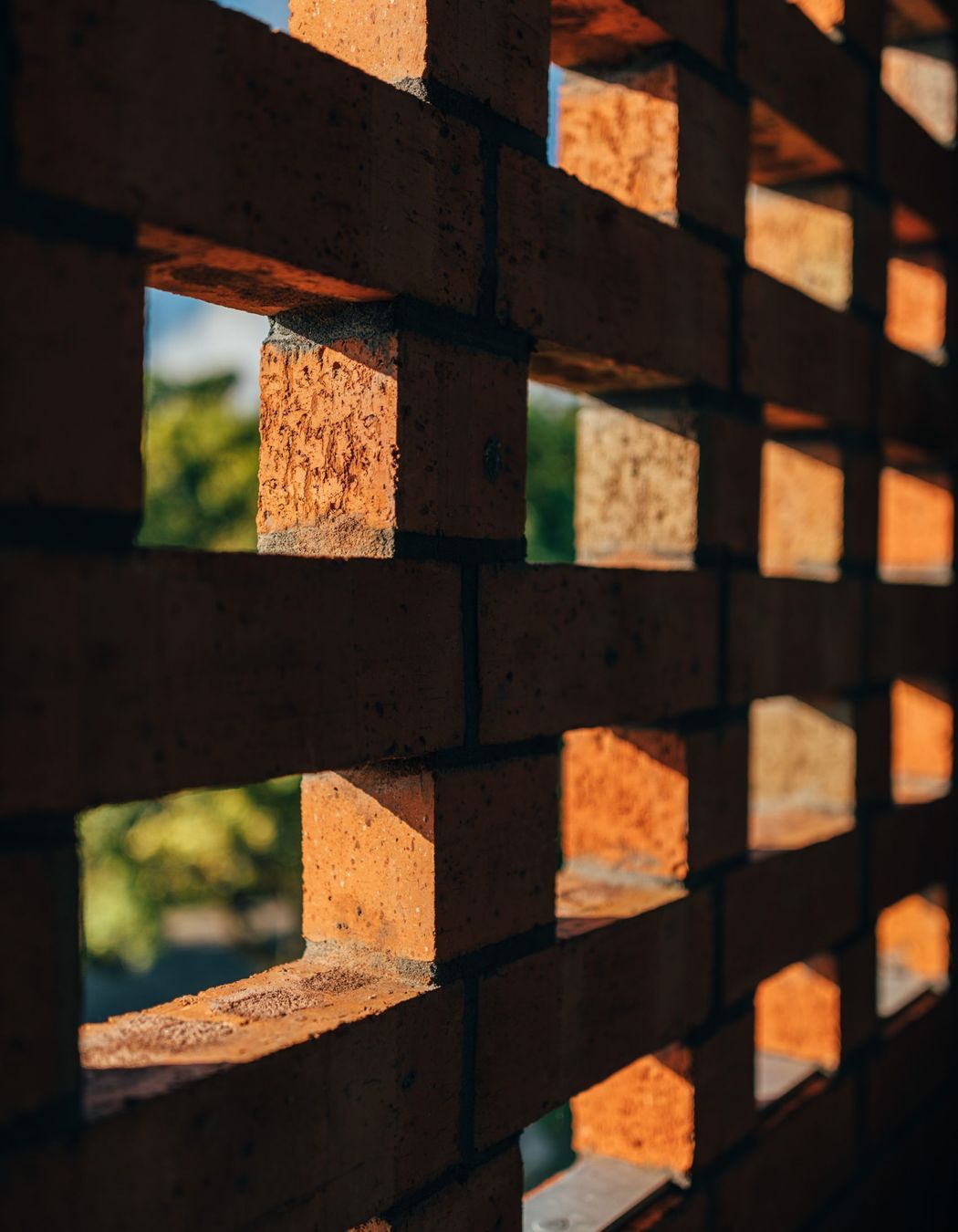 New Build - Avondale