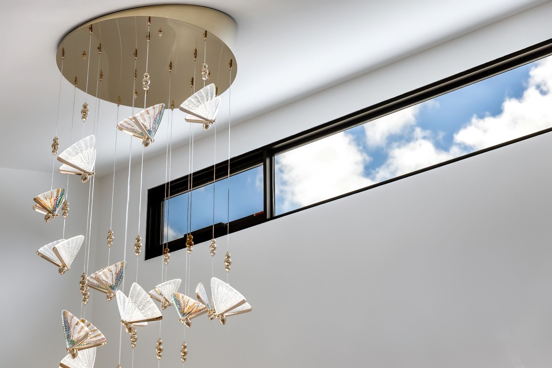 Skillion Roof Modern Home