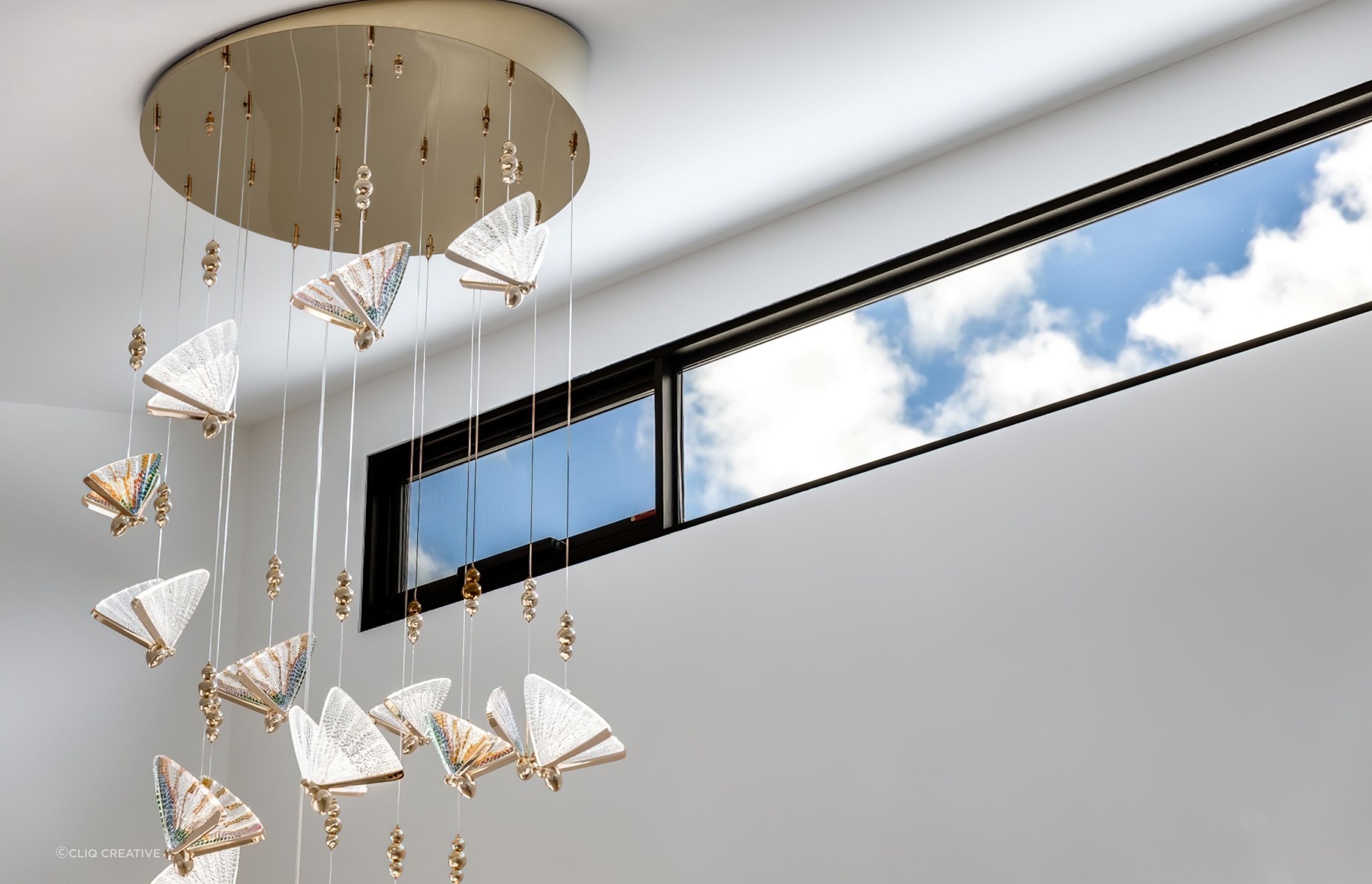 Skillion Roof Modern Home