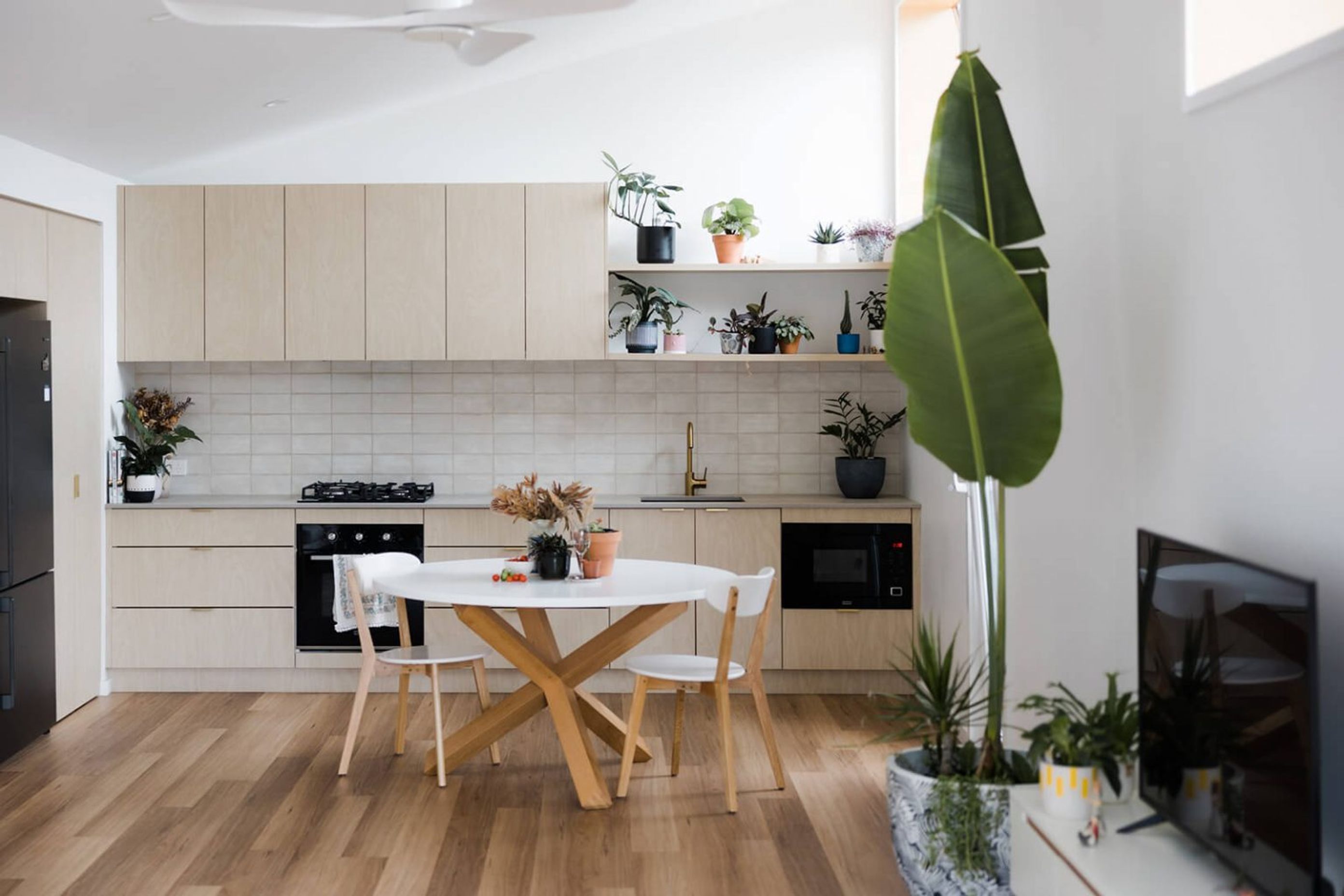 SPRINGFIELD GRANNY FLAT