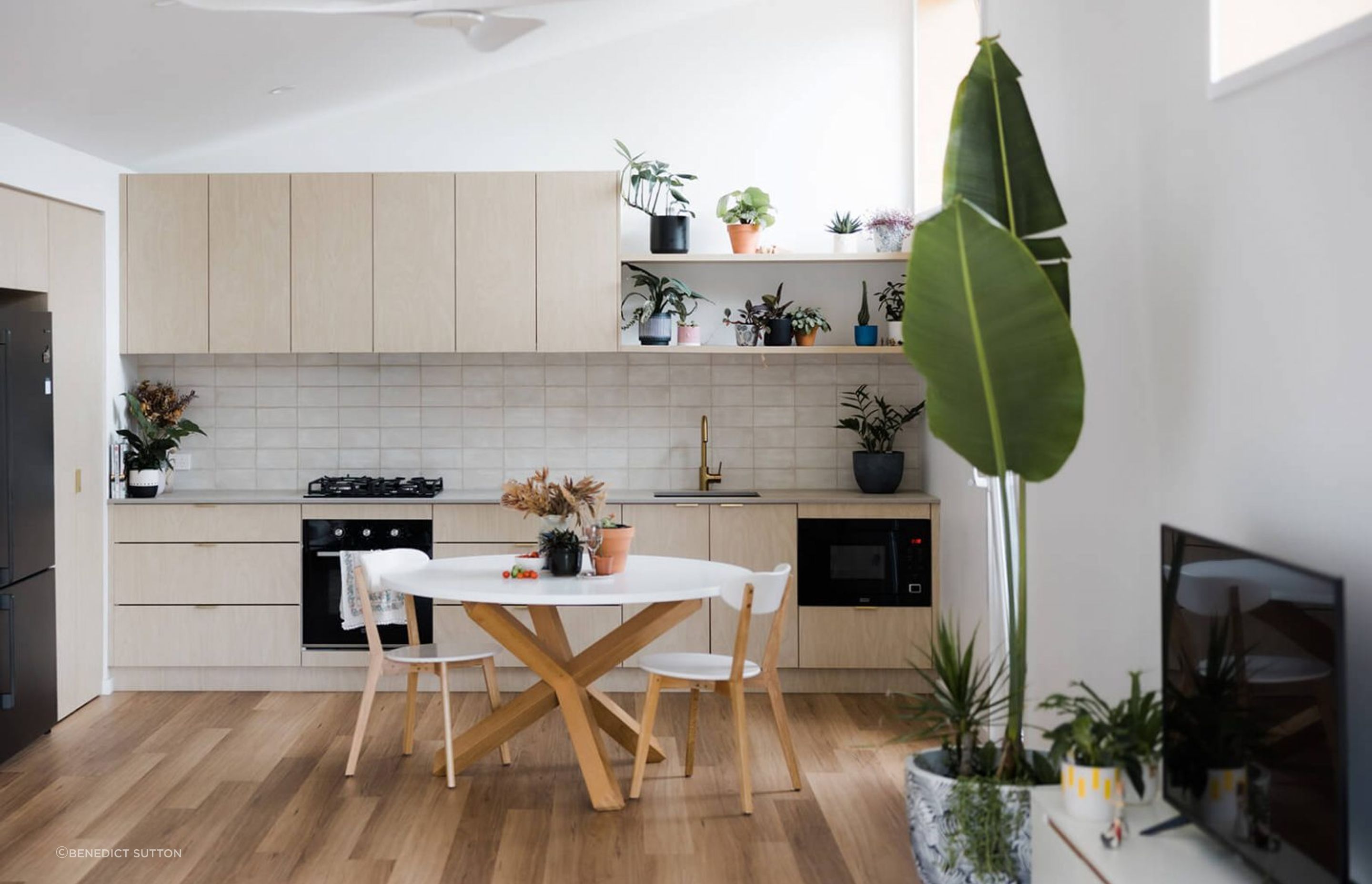 SPRINGFIELD GRANNY FLAT