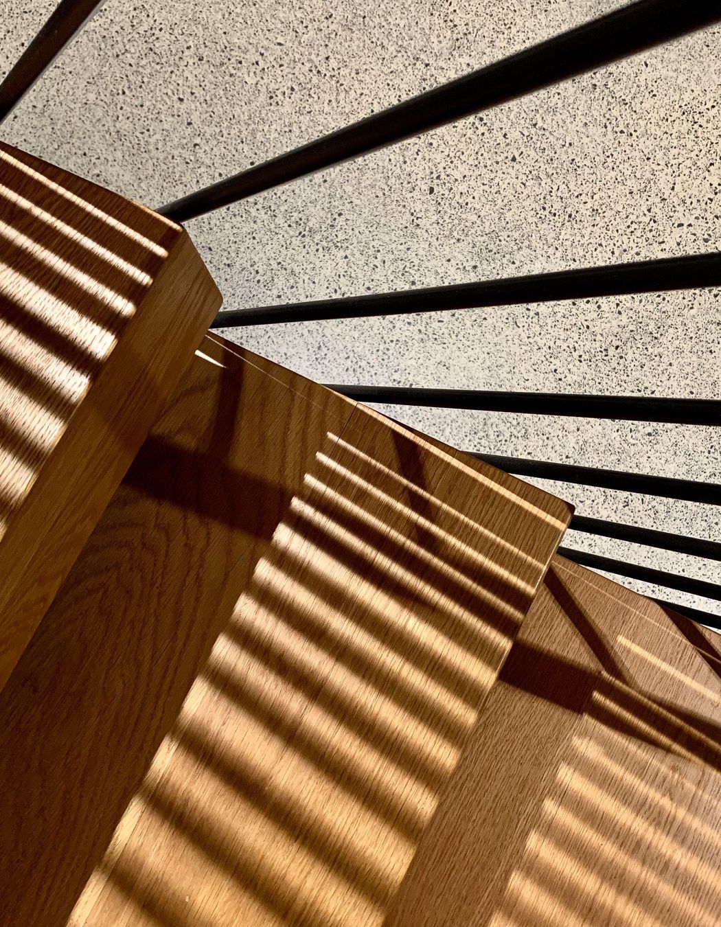 Photographed by Newton and Kay