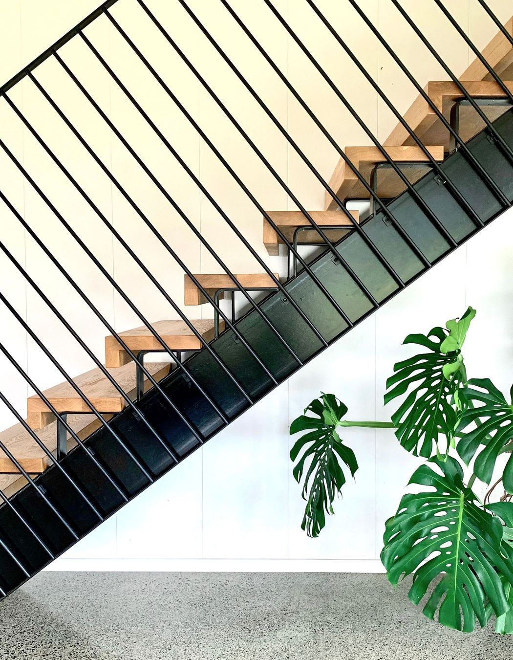 Photographed by Newton and Kay