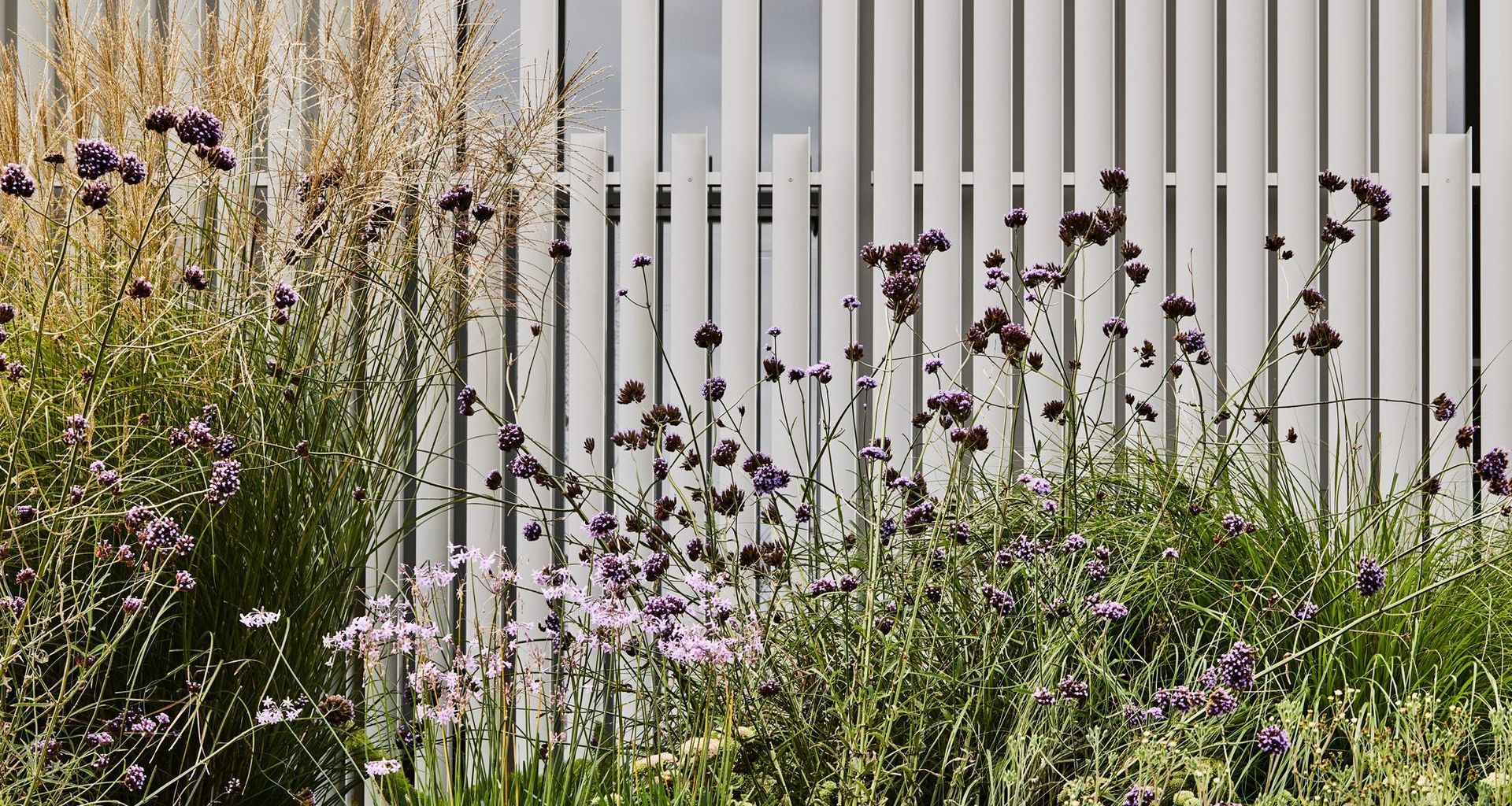 Brunswick East Residence banner