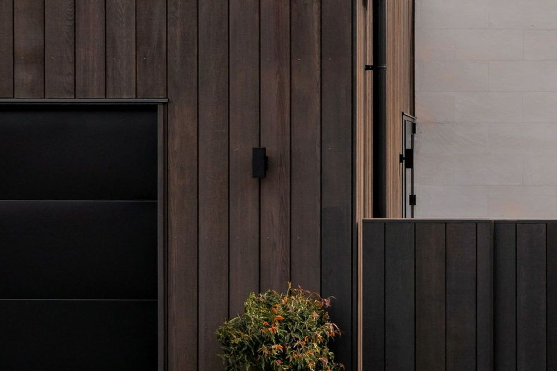 Hamilton Lake – Domain View 3