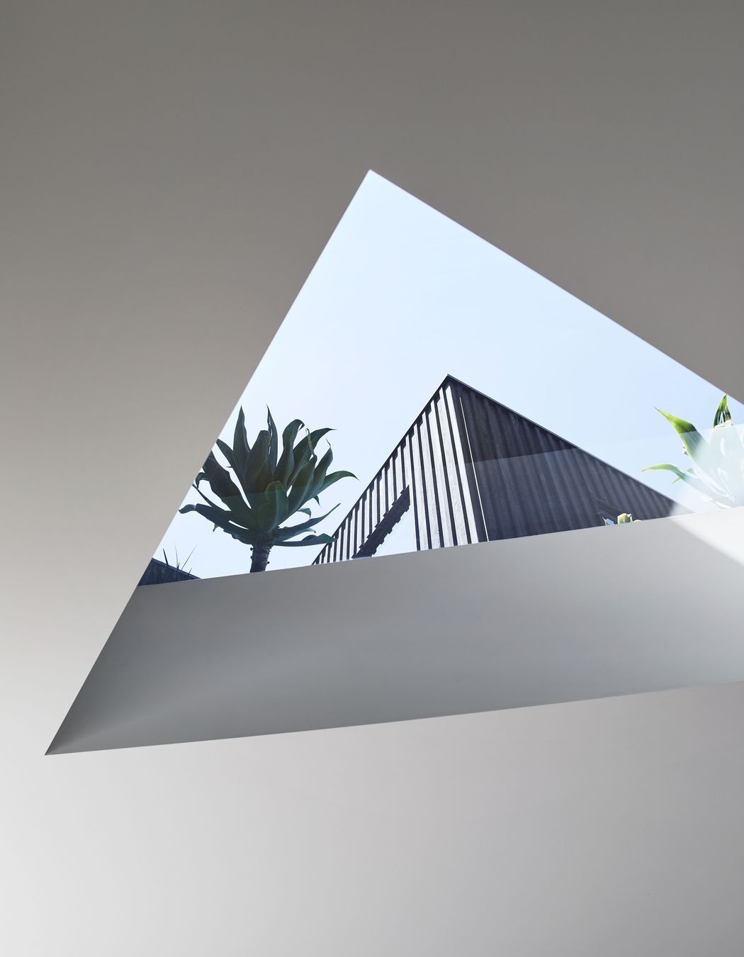 The Split Home