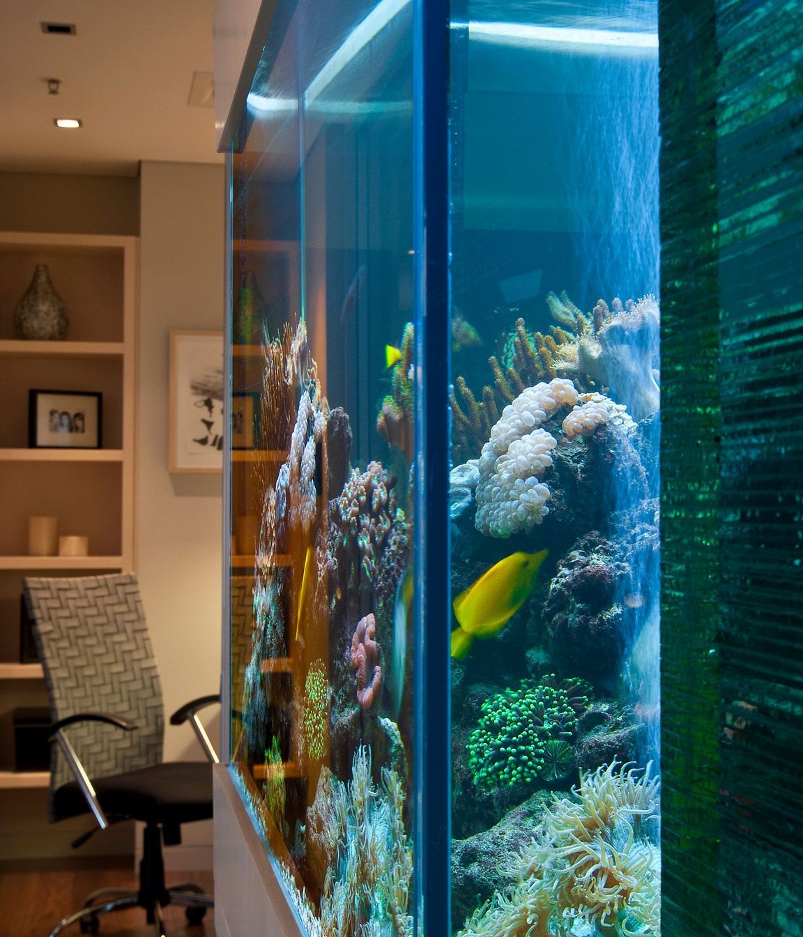 Harbour Lights Penthouse