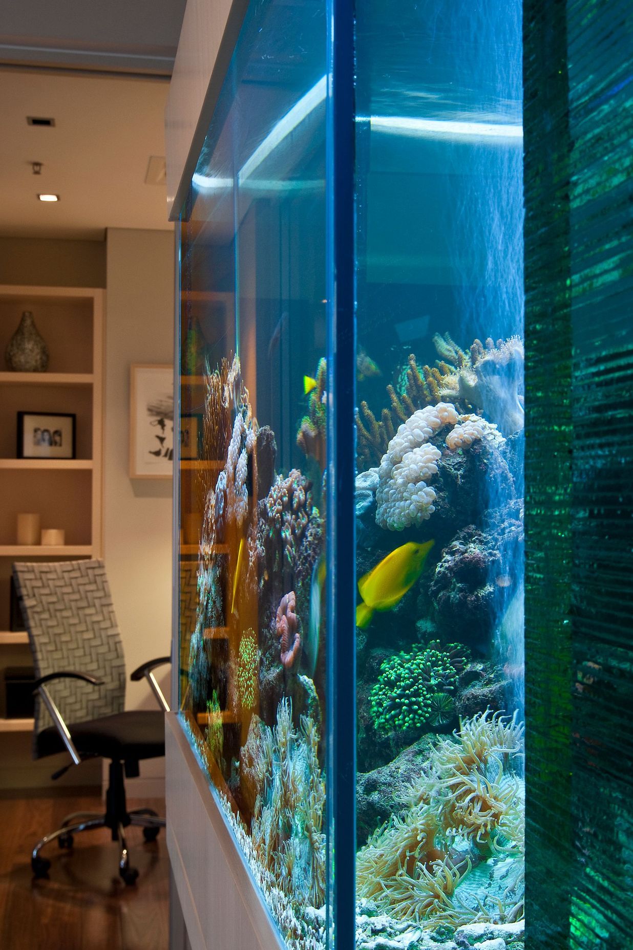 Harbour Lights Penthouse