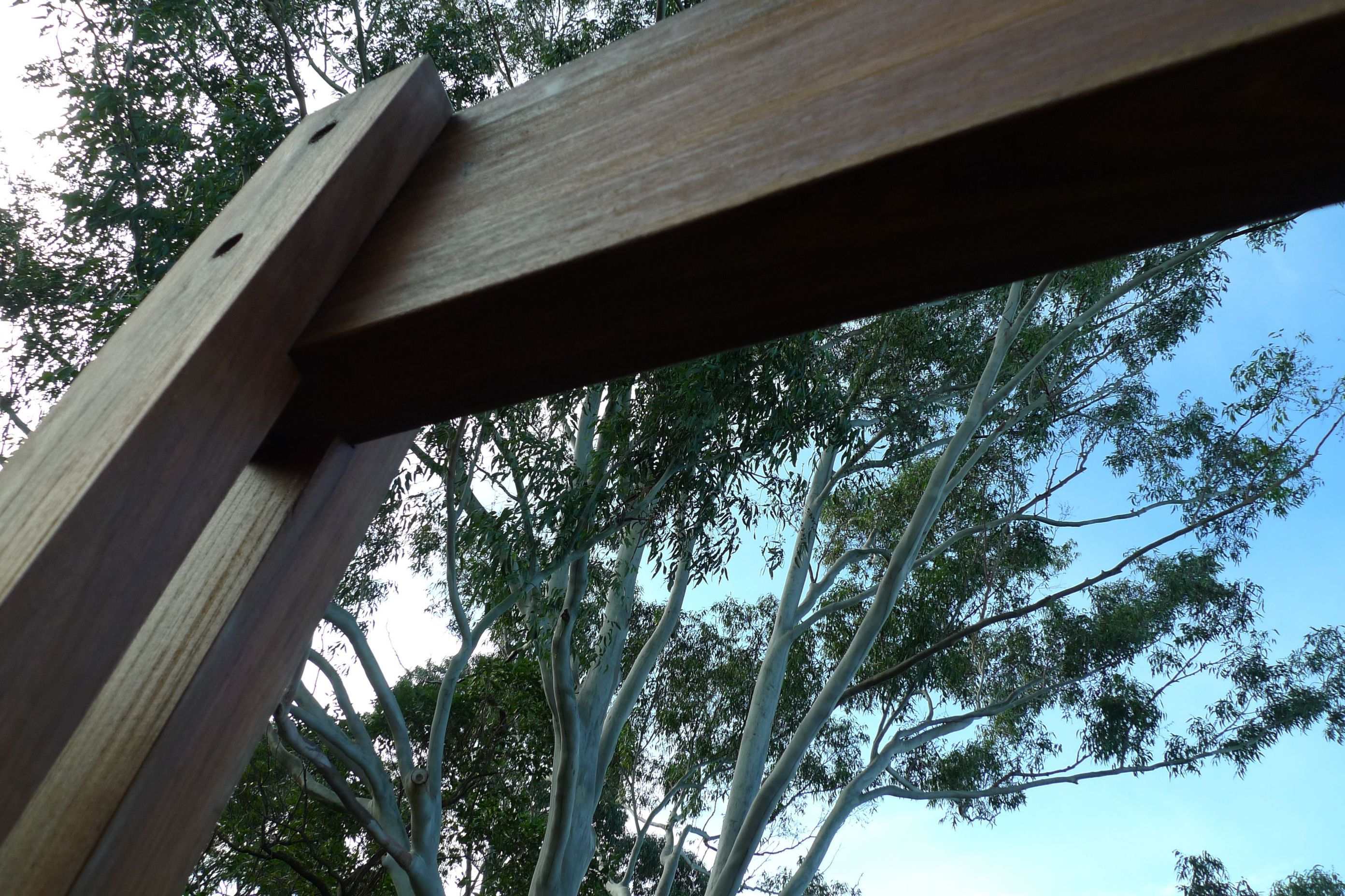 Tree House